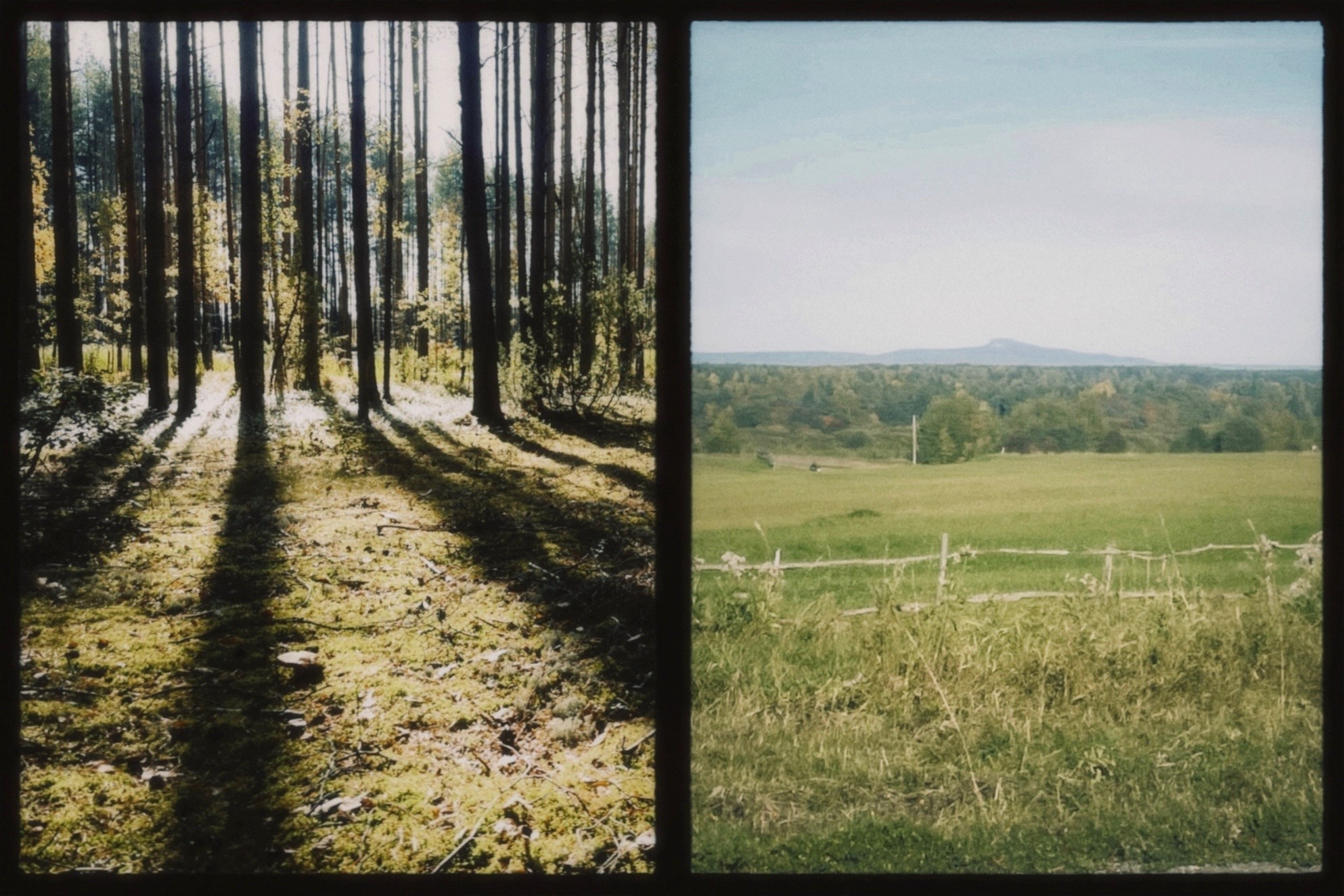 Фотоальбом: Алхимия Жизни. VITA · visual therapy arts
