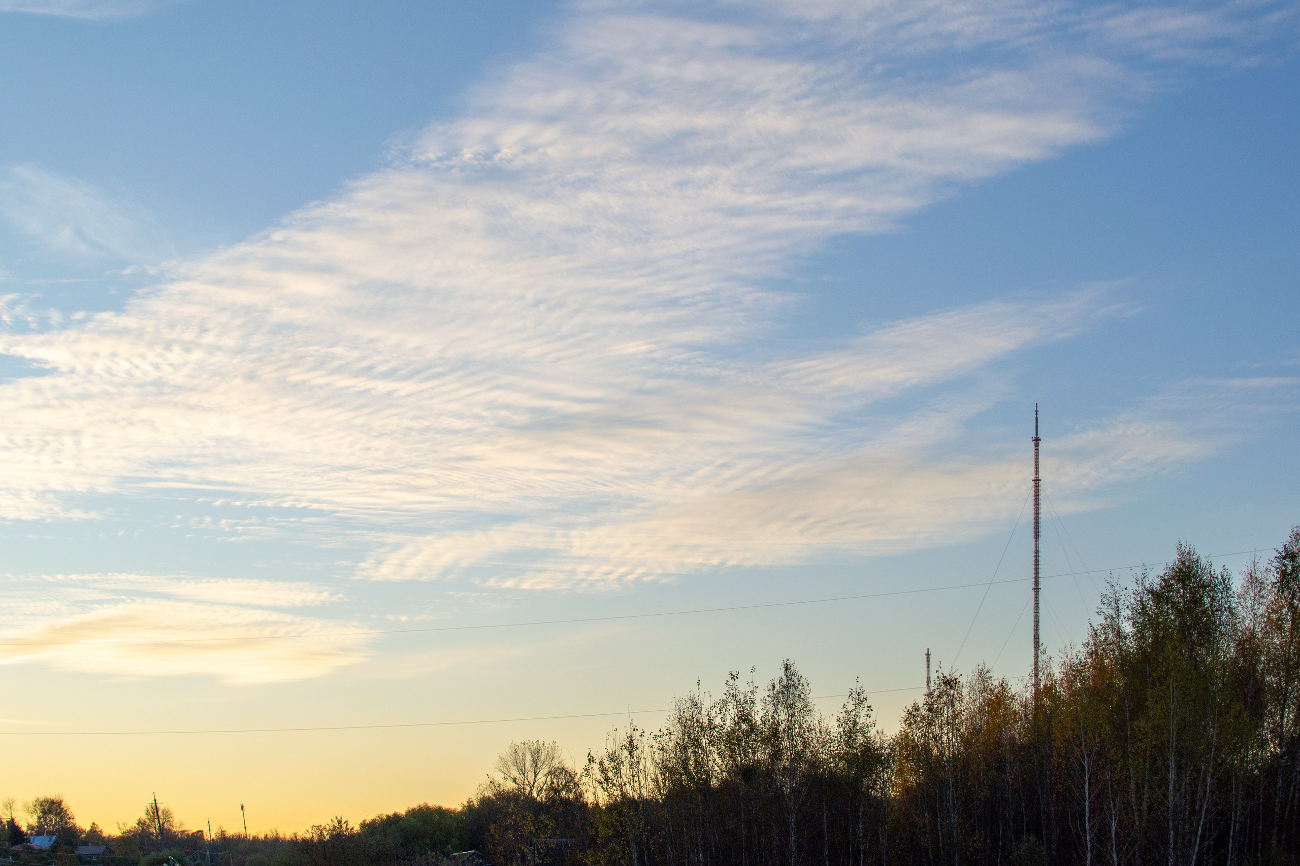 Старенький Nikon 3100 и nikkor 35 mm 1.8 (фото проявленные из RAW-NEF файлов). Фотограф в Туле Крупский АнДРей. Фотостудия «КАДР71» в Туле