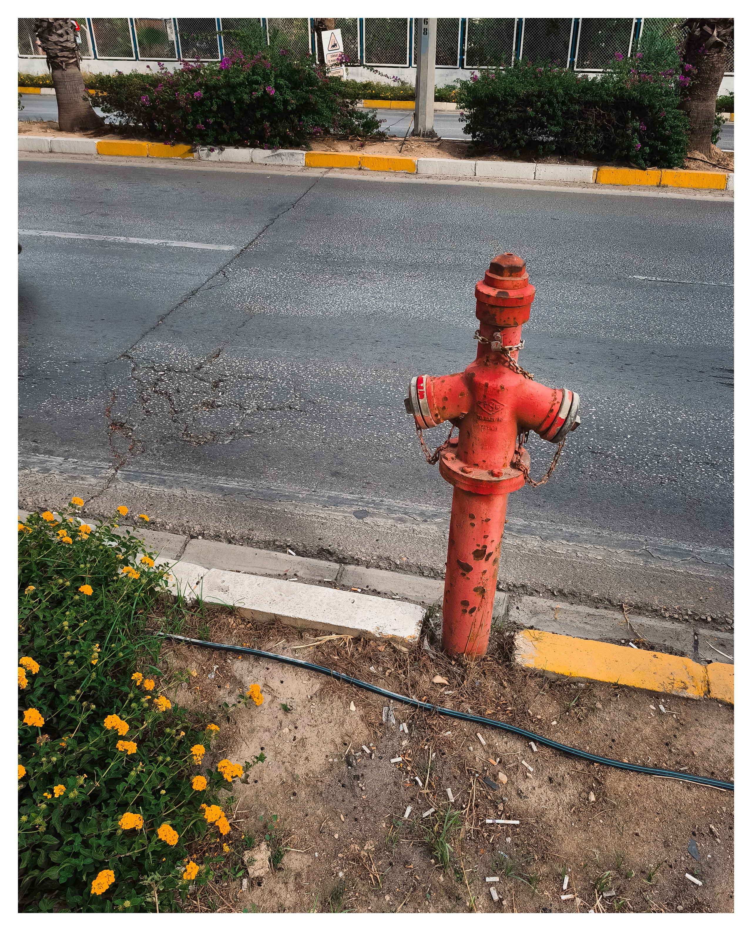 Мир повседневных Вещей. Репортажный и портретный фотограф, Влад Хафизов, Москва
