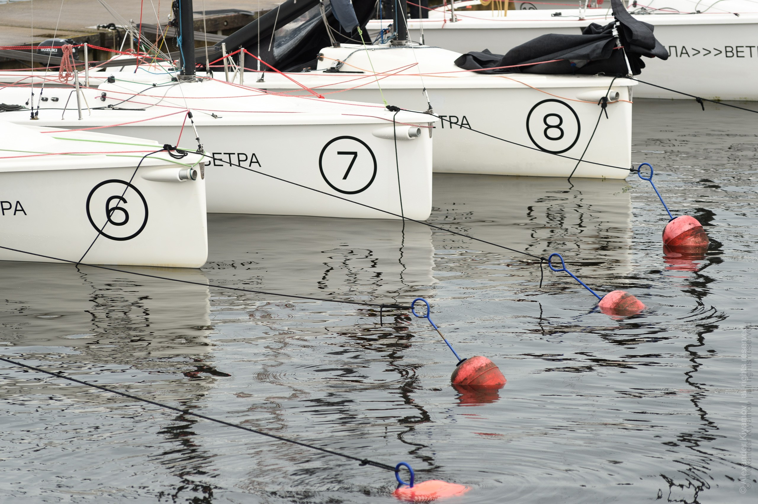 Фотограф на корпоратив