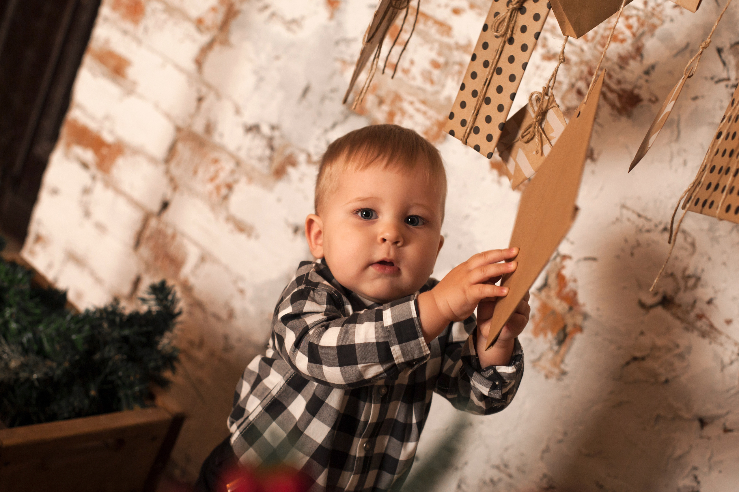 Новый год. Фотограф новорожденных в Брянске Анжелика Прохоренкова