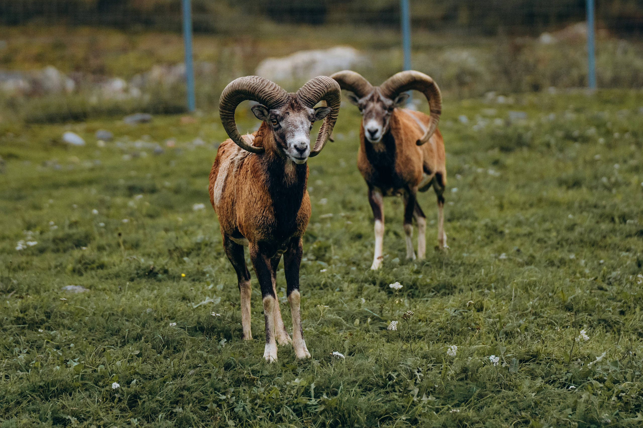 СЕВЕР. Event фотограф Степанова Александра