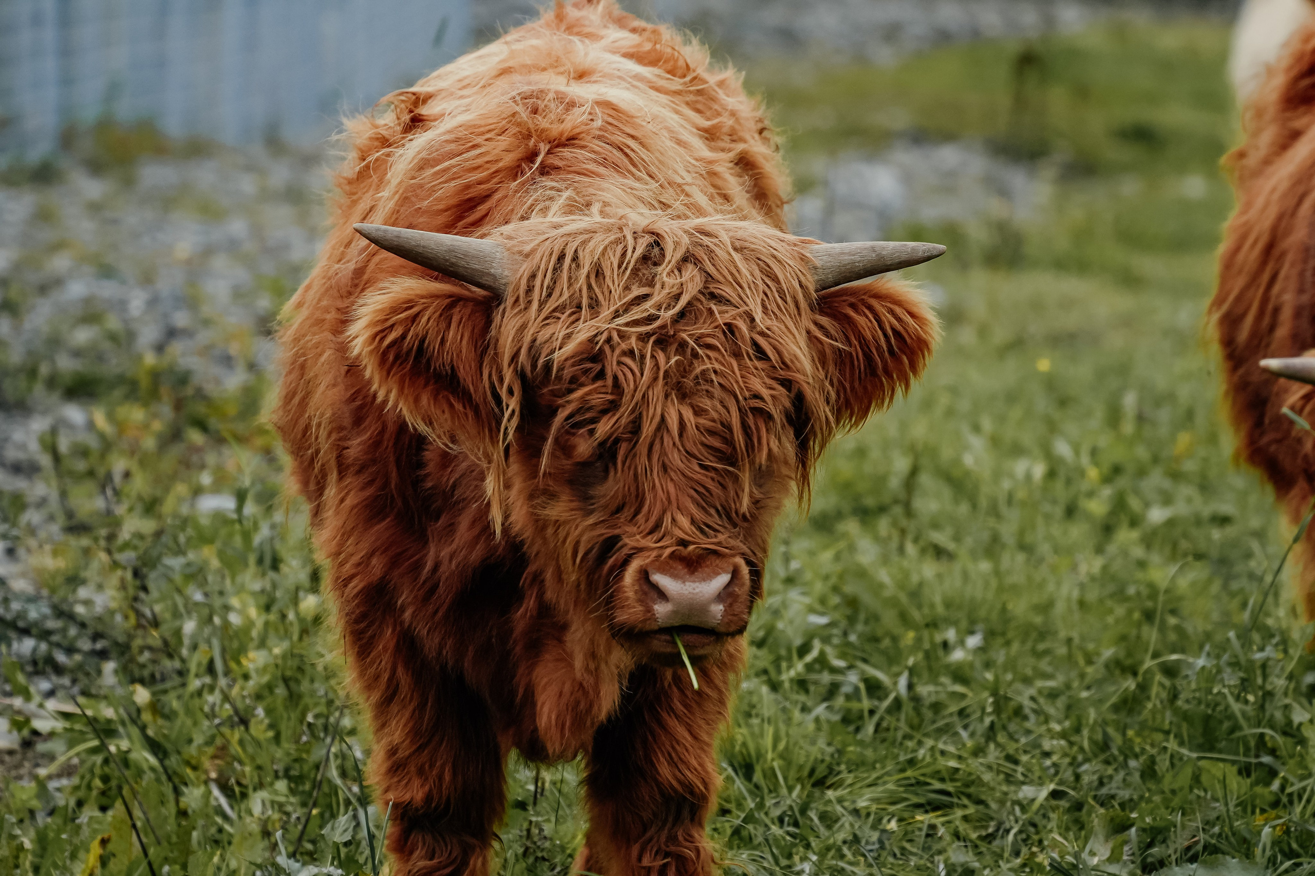СЕВЕР. Event фотограф Степанова Александра