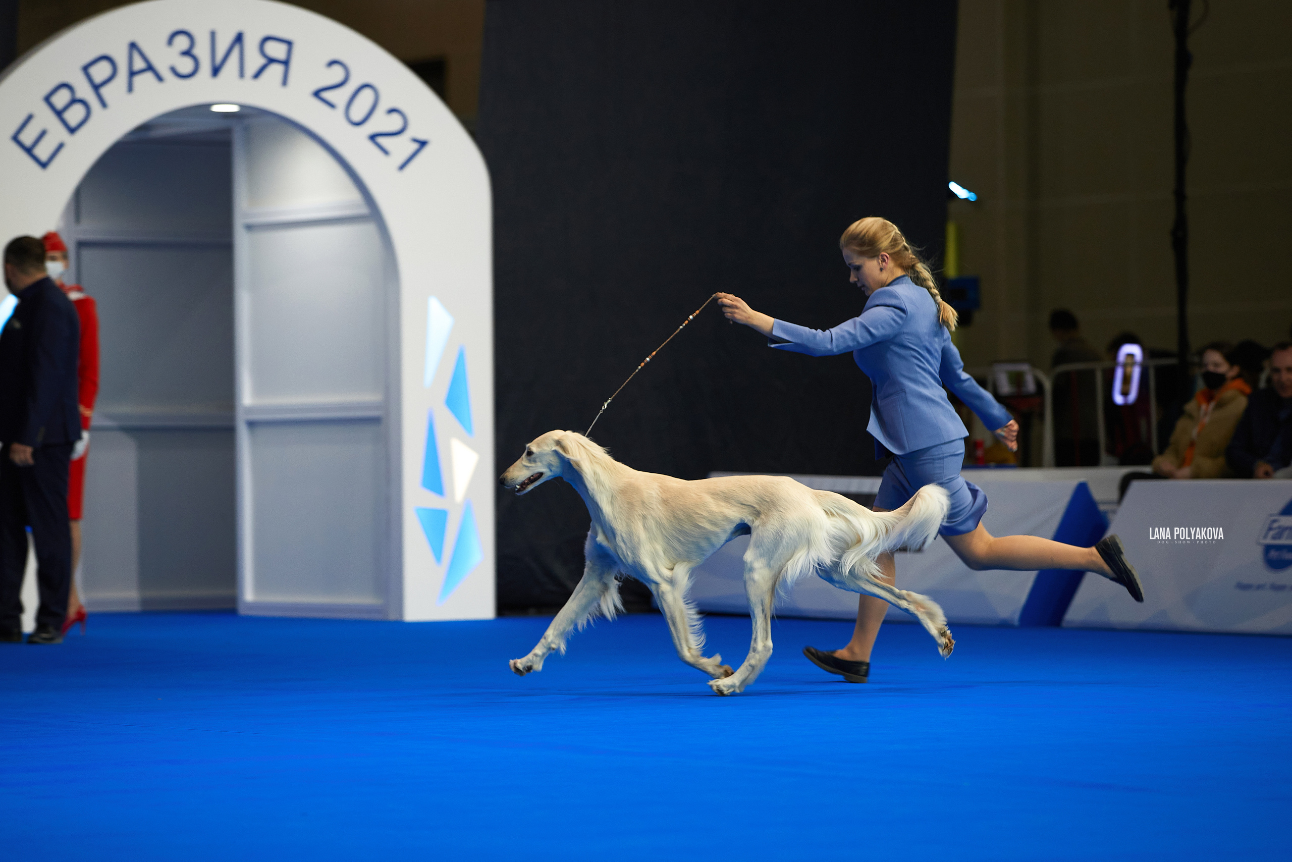 Съемки на выставке. ЕВРАЗИЯ 2021, 2 x CACIB МВЦ КРОКУС ЭКСПО. Фотограф: Лана Полякова