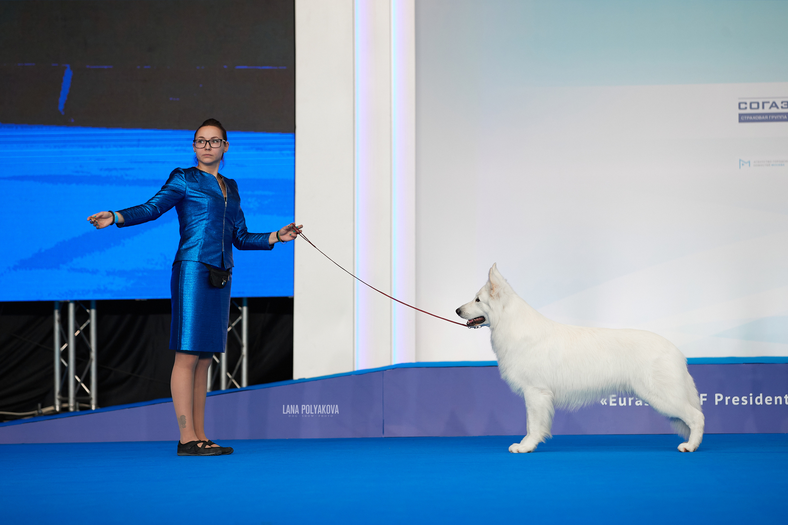 Съемки на выставке. ЕВРАЗИЯ 2021, 2 x CACIB МВЦ КРОКУС ЭКСПО. Фотограф: Лана Полякова