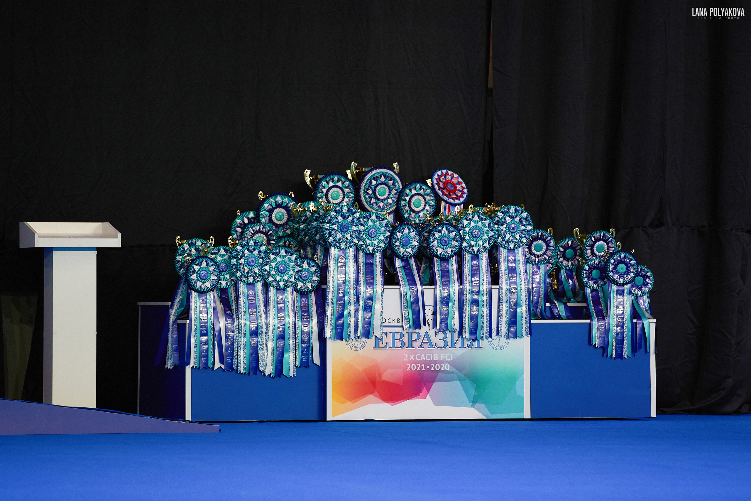 Съемки на выставке. ЕВРАЗИЯ 2021, 2 x CACIB МВЦ КРОКУС ЭКСПО. Фотограф: Лана Полякова