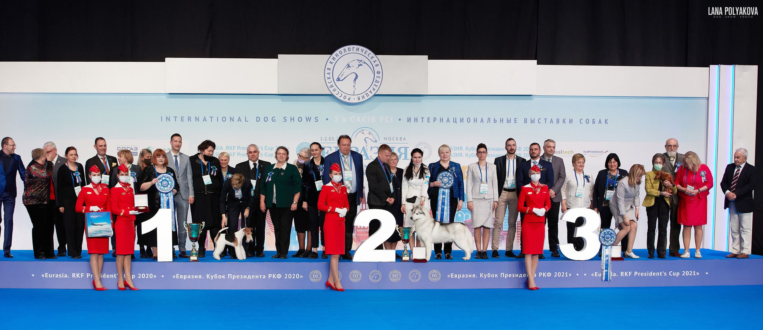 Съемки на выставке. ЕВРАЗИЯ 2021, 2 x CACIB МВЦ КРОКУС ЭКСПО. Фотограф: Лана Полякова