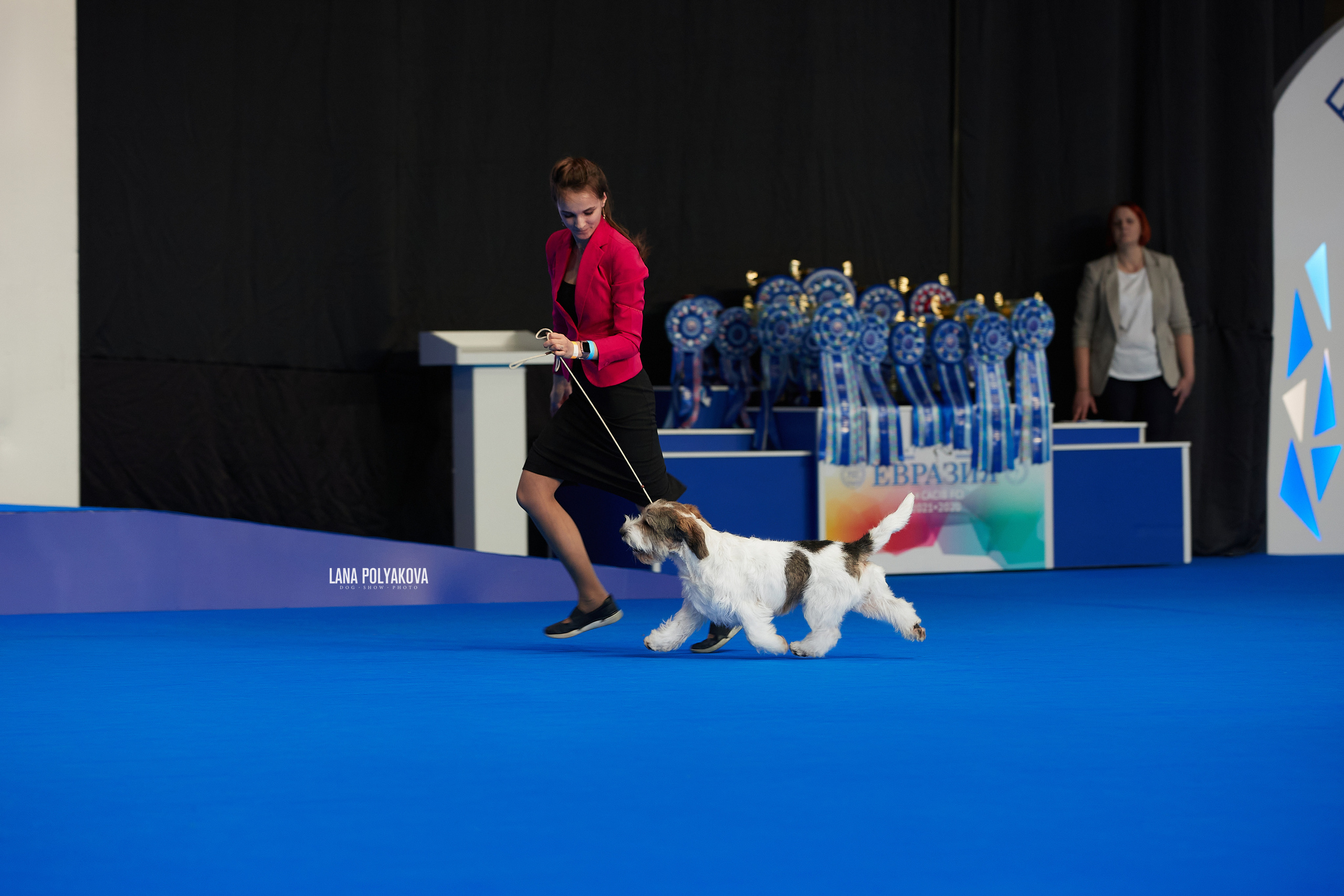 Съемки на выставке. ЕВРАЗИЯ 2021, 2 x CACIB МВЦ КРОКУС ЭКСПО. Фотограф: Лана Полякова