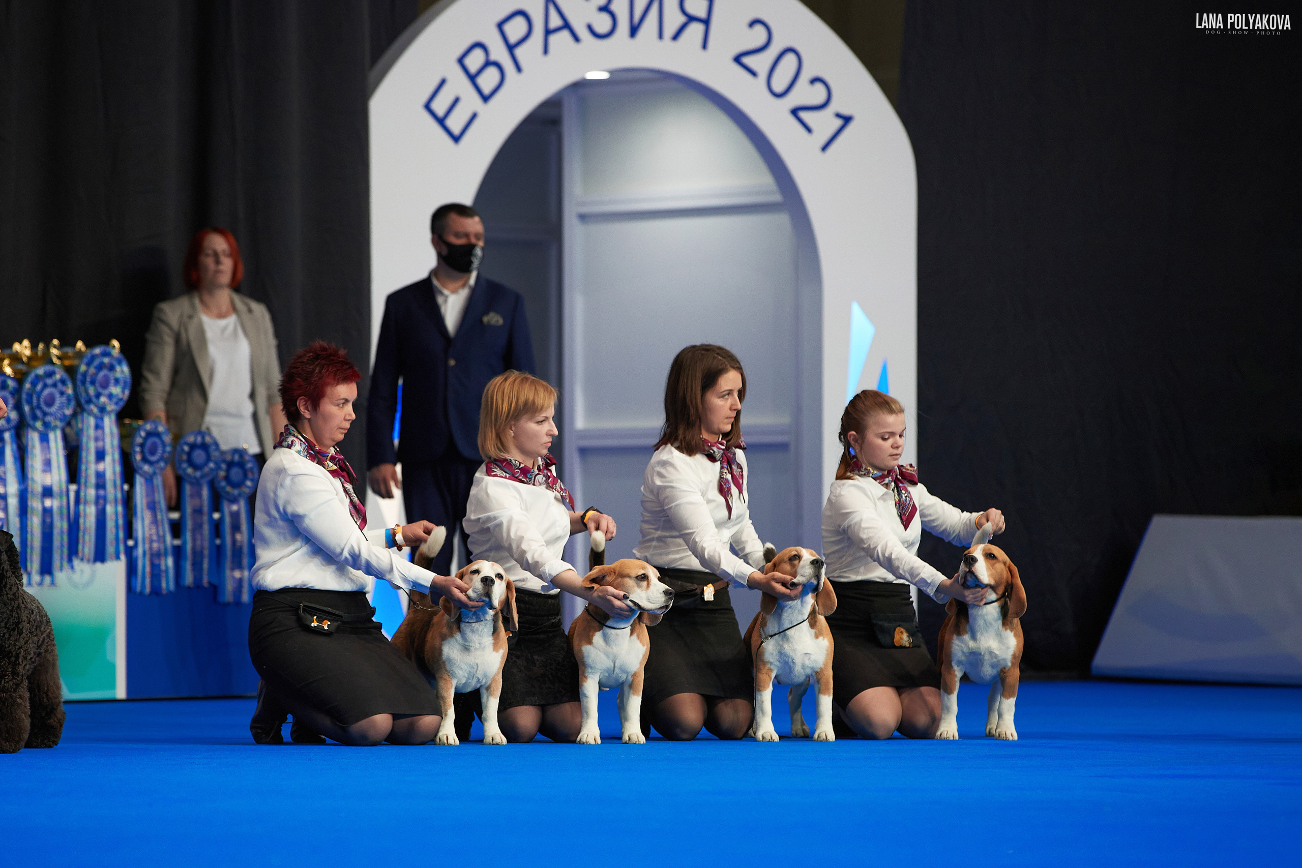 Съемки на выставке. ЕВРАЗИЯ 2021, 2 x CACIB МВЦ КРОКУС ЭКСПО. Фотограф: Лана Полякова