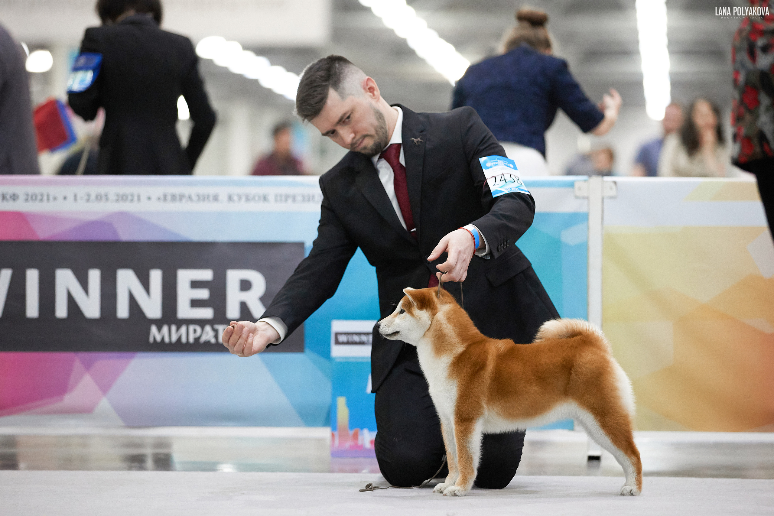 Съемки на выставке. ЕВРАЗИЯ 2021, 2 x CACIB МВЦ КРОКУС ЭКСПО. Фотограф: Лана Полякова