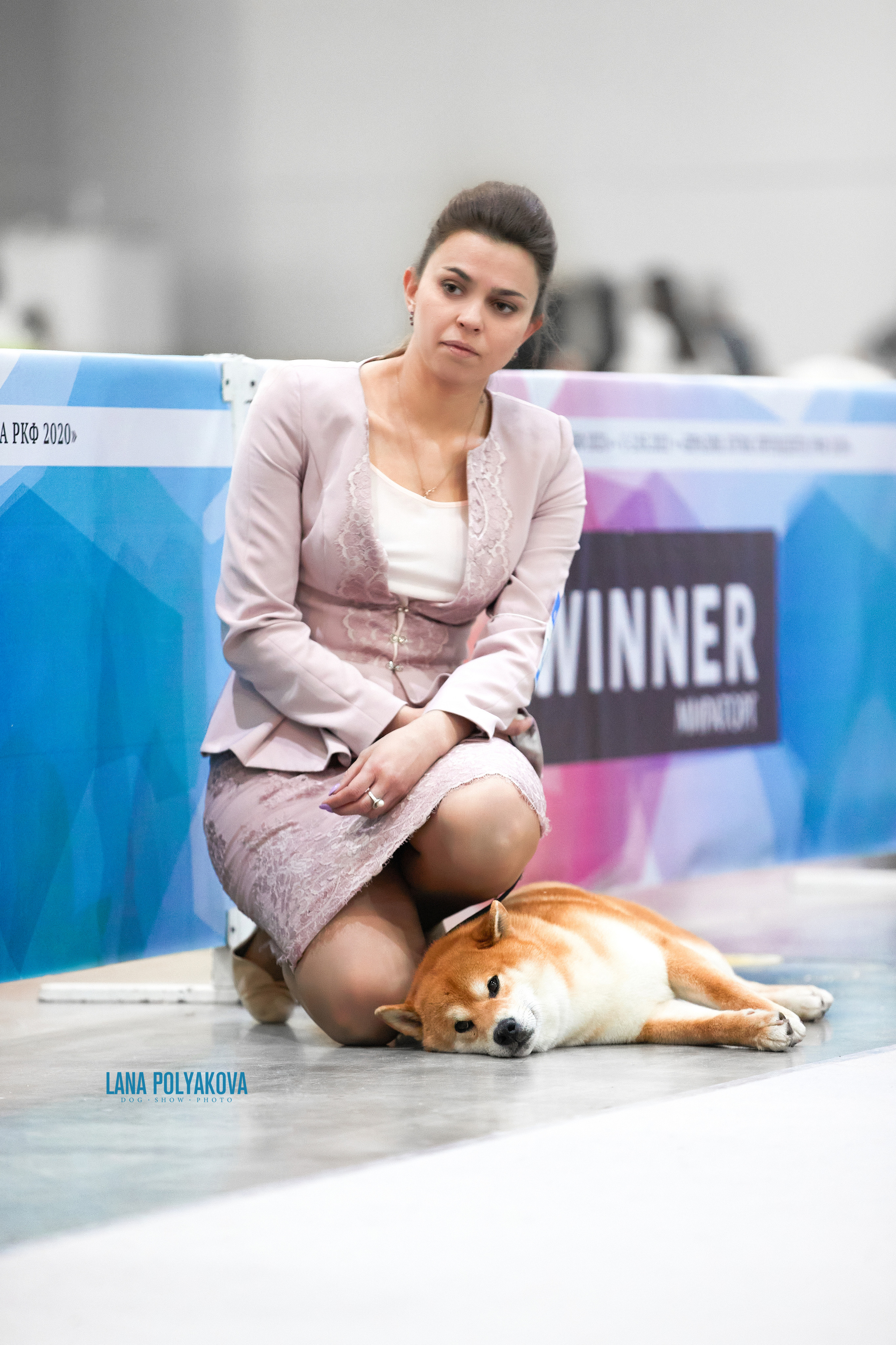 Съемки на выставке. ЕВРАЗИЯ 2021, 2 x CACIB МВЦ КРОКУС ЭКСПО. Фотограф: Лана Полякова