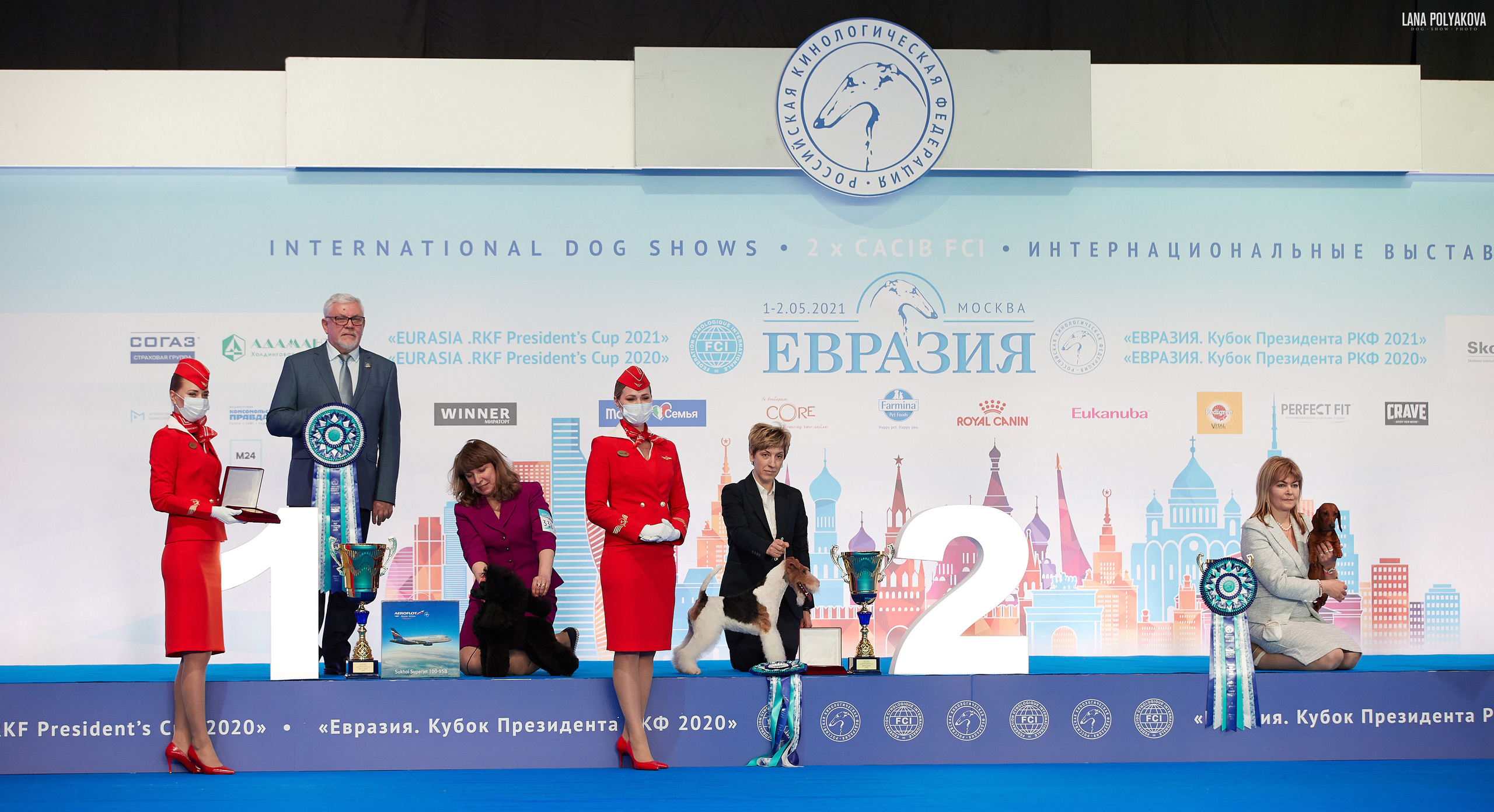 Съемки на выставке. ЕВРАЗИЯ 2021, 2 x CACIB МВЦ КРОКУС ЭКСПО. Фотограф: Лана Полякова