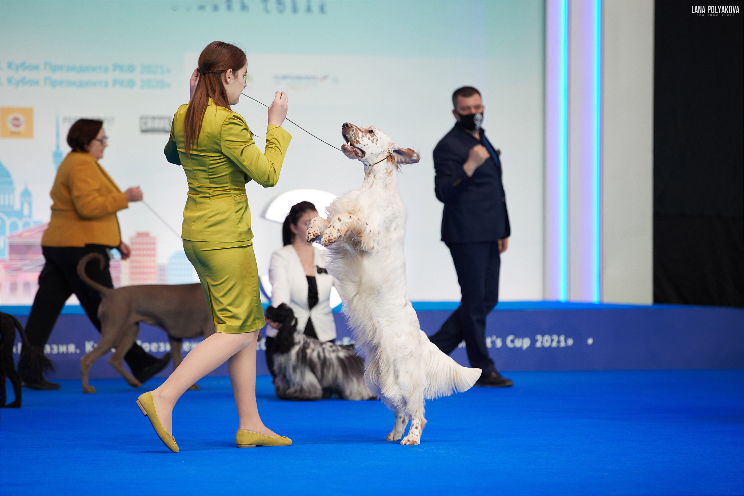 Съемки на выставке. ЕВРАЗИЯ 2021, 2 x CACIB МВЦ КРОКУС ЭКСПО. Фотограф: Лана Полякова