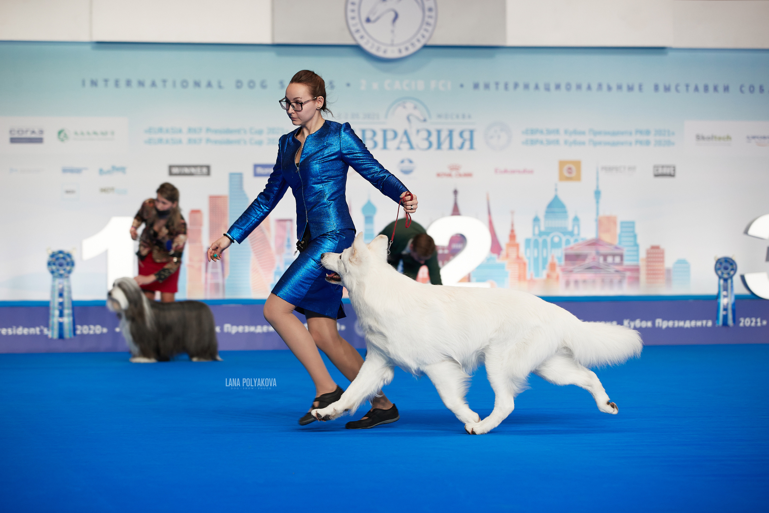 Съемки на выставке. ЕВРАЗИЯ 2021, 2 x CACIB МВЦ КРОКУС ЭКСПО. Фотограф: Лана Полякова