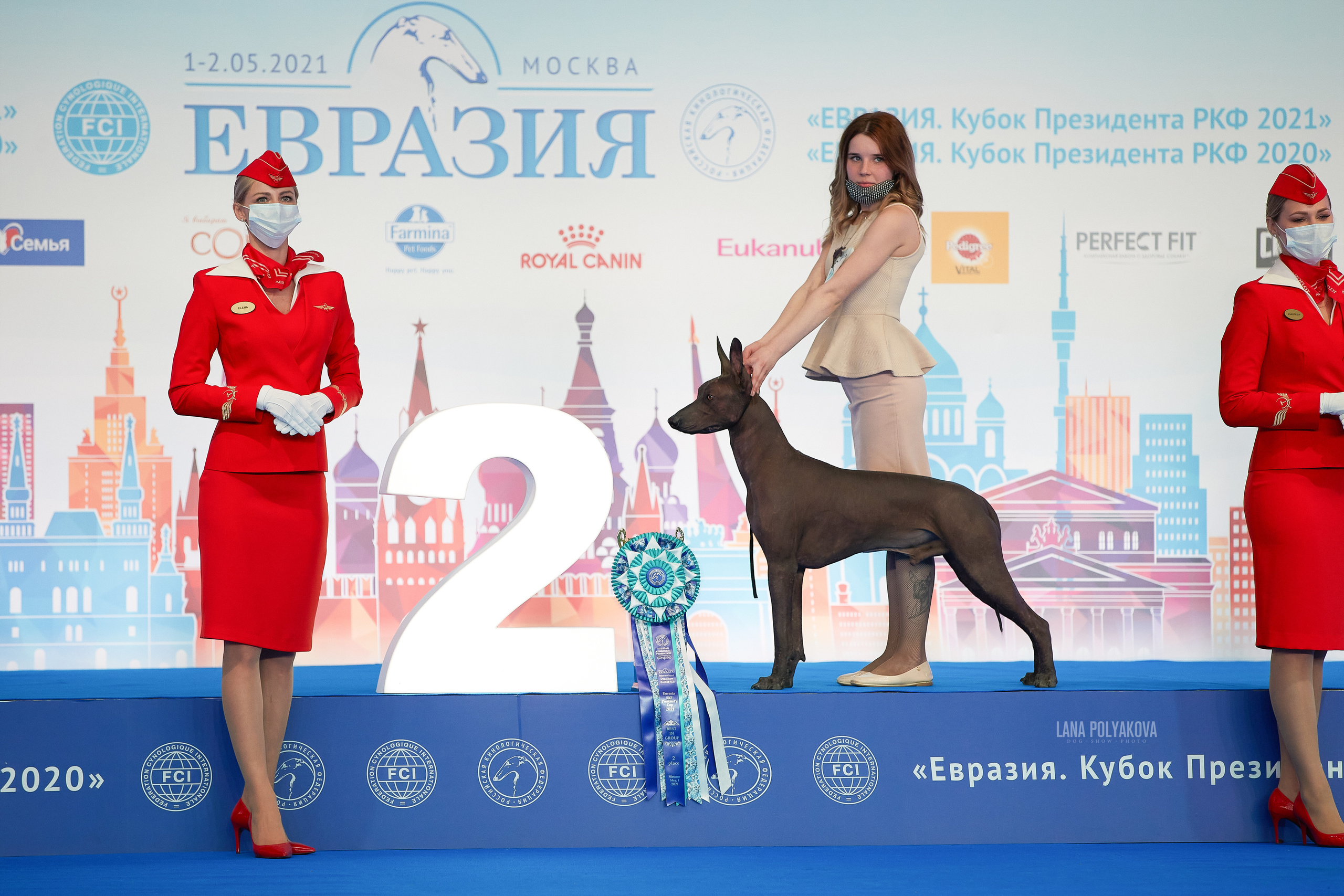 Съемки на выставке. ЕВРАЗИЯ 2021, 2 x CACIB МВЦ КРОКУС ЭКСПО. Фотограф: Лана Полякова