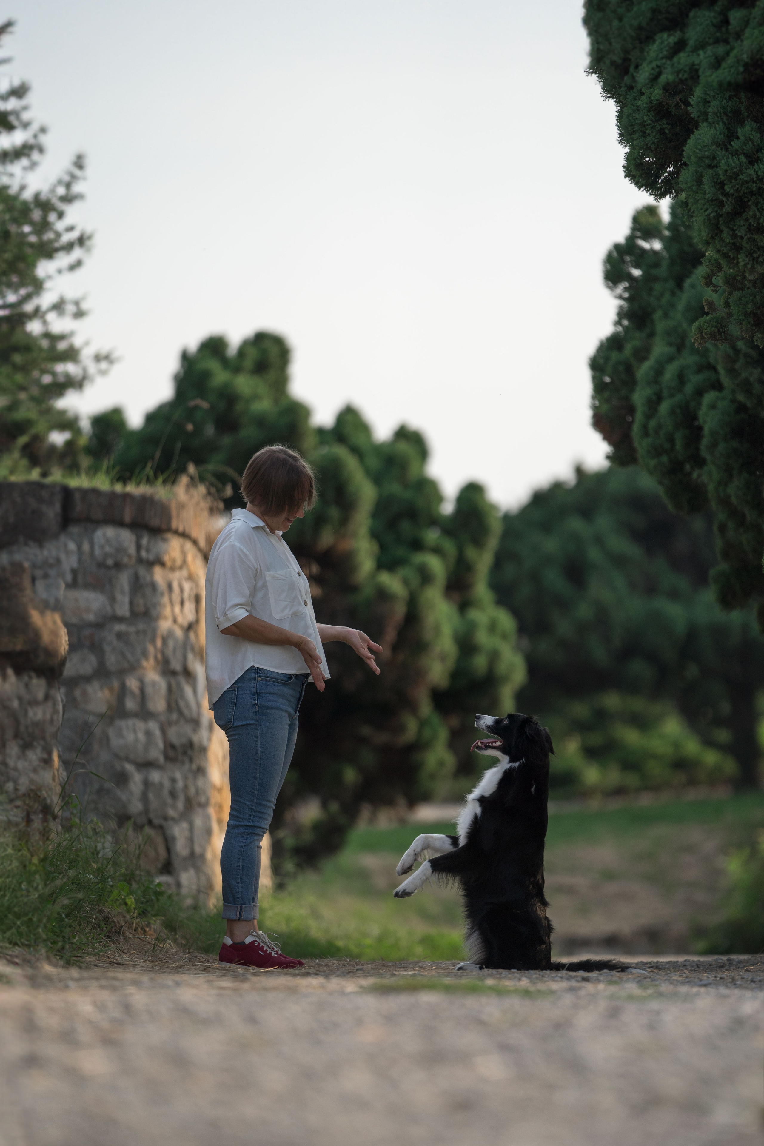 Белград, Калемегдан. Таня и Шегги. Фотограф анималист