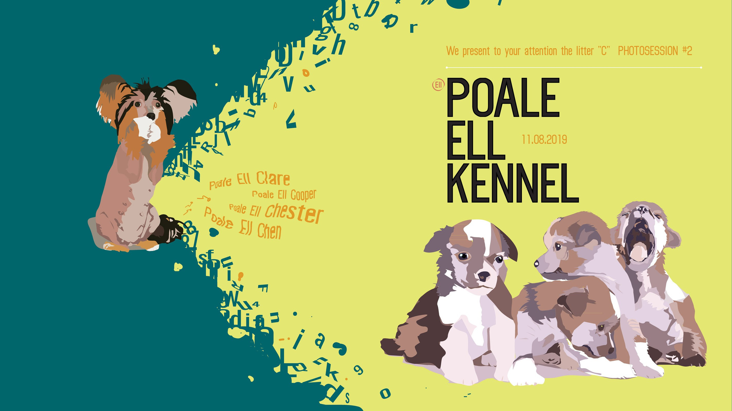 Litter C. Chinese Crested Dog Kennel Poale Ell