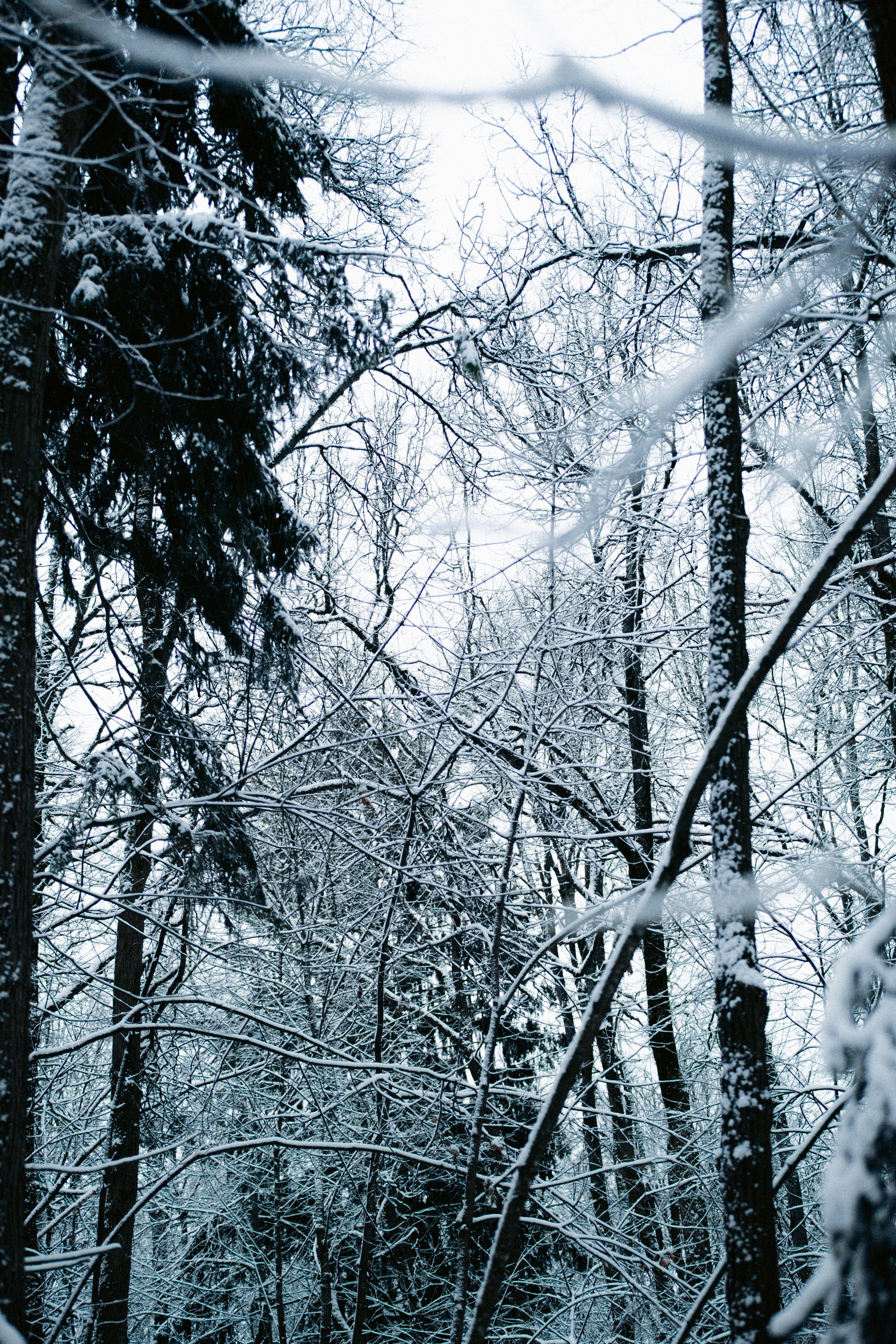 Марафон у дома_Бунино. Александра Мельниченко/ Бегающий фотограф