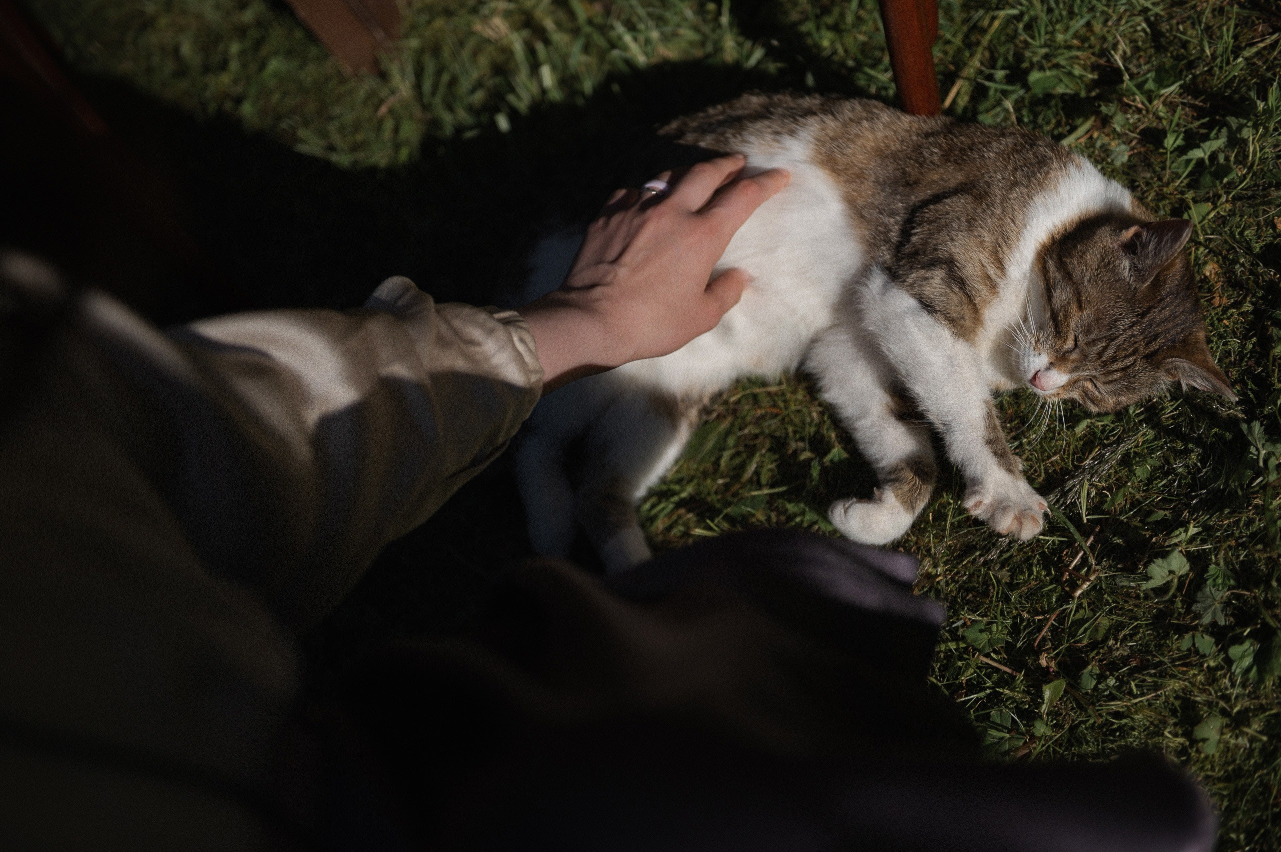 Карим и Ольга вечеринка под открытым небом в «Лесной даче». Афина Ефимова. Свадебный фотограф Москва