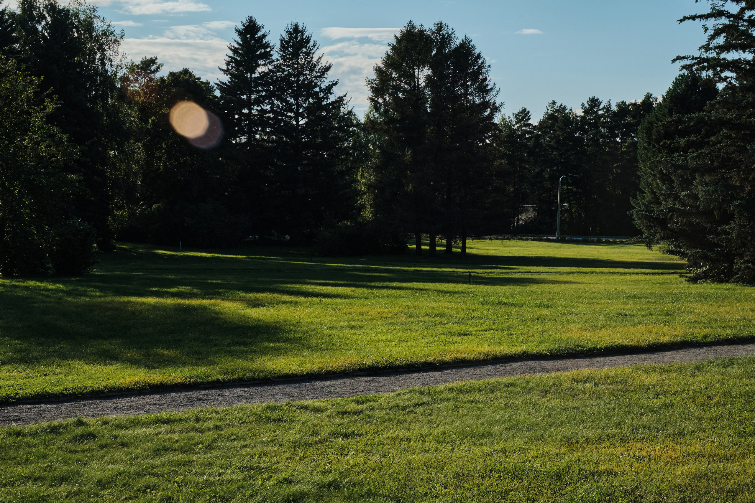 Академ-городок и ботанический сад. Goncharov Tim