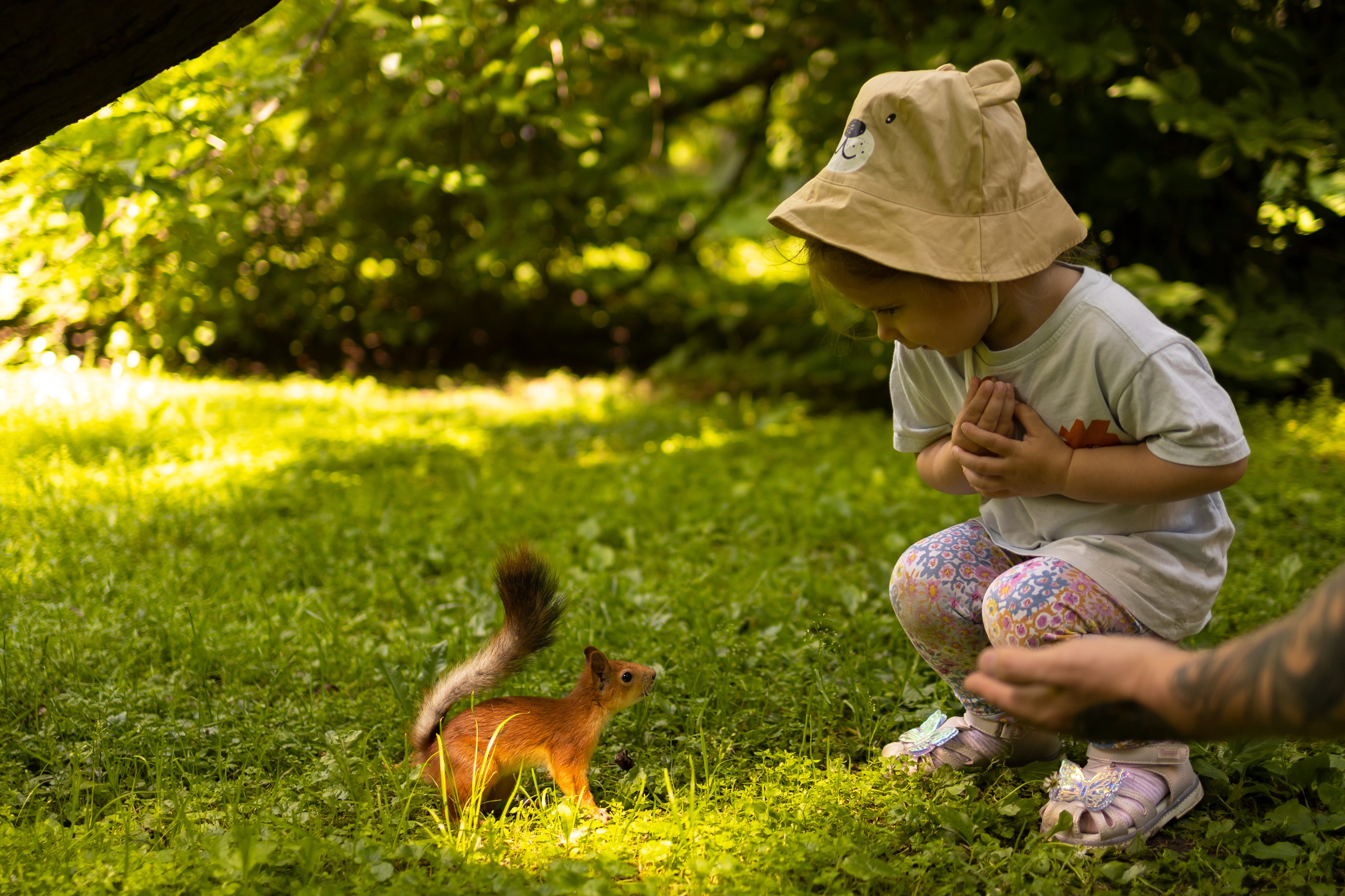 Boho wigwam (summer 2024). Семейный и детский фотограф, фотограф беременности, ньюборн в Москве