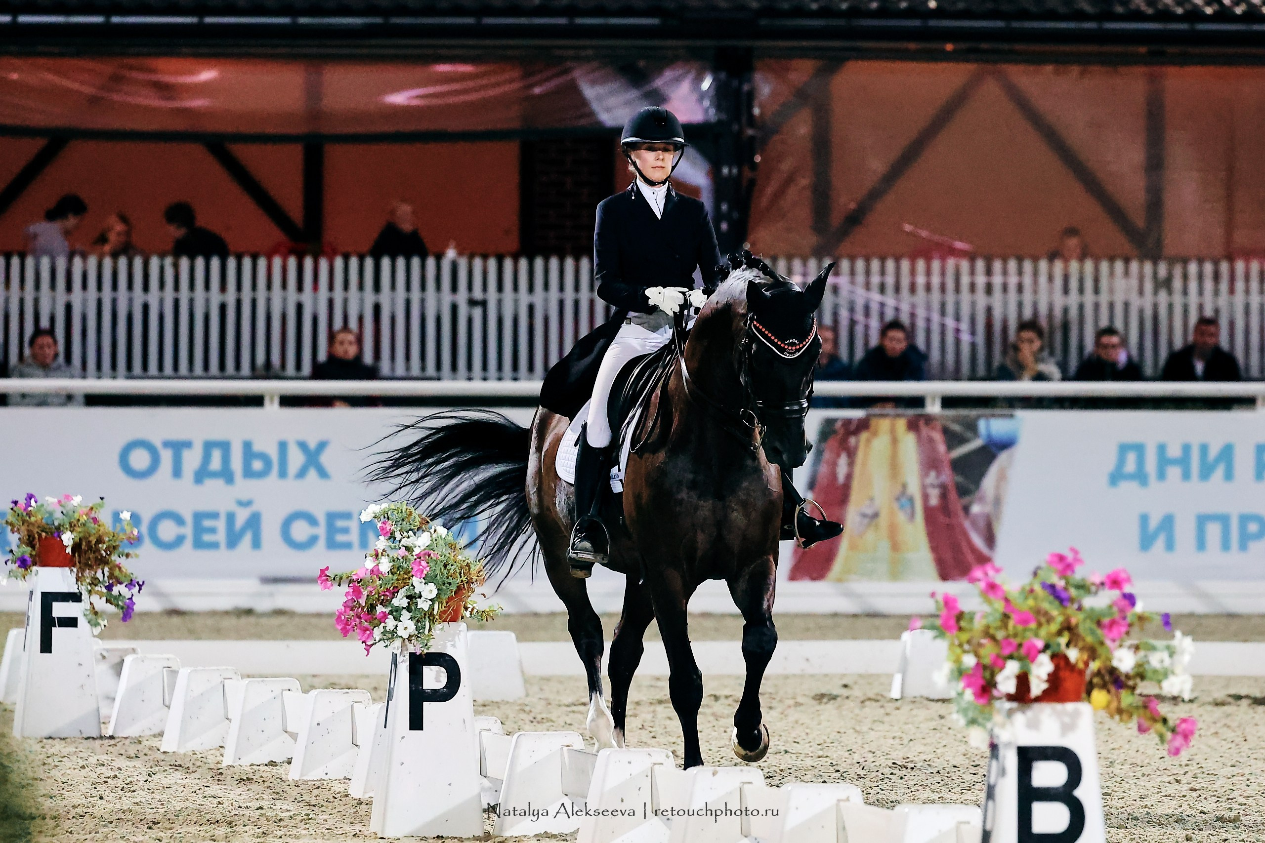 Чемпионат и Первенство России по выездке, Maxima Stables | 09'2023. Репортажный фотограф и ретушер в Москве Наталья Алексеева
