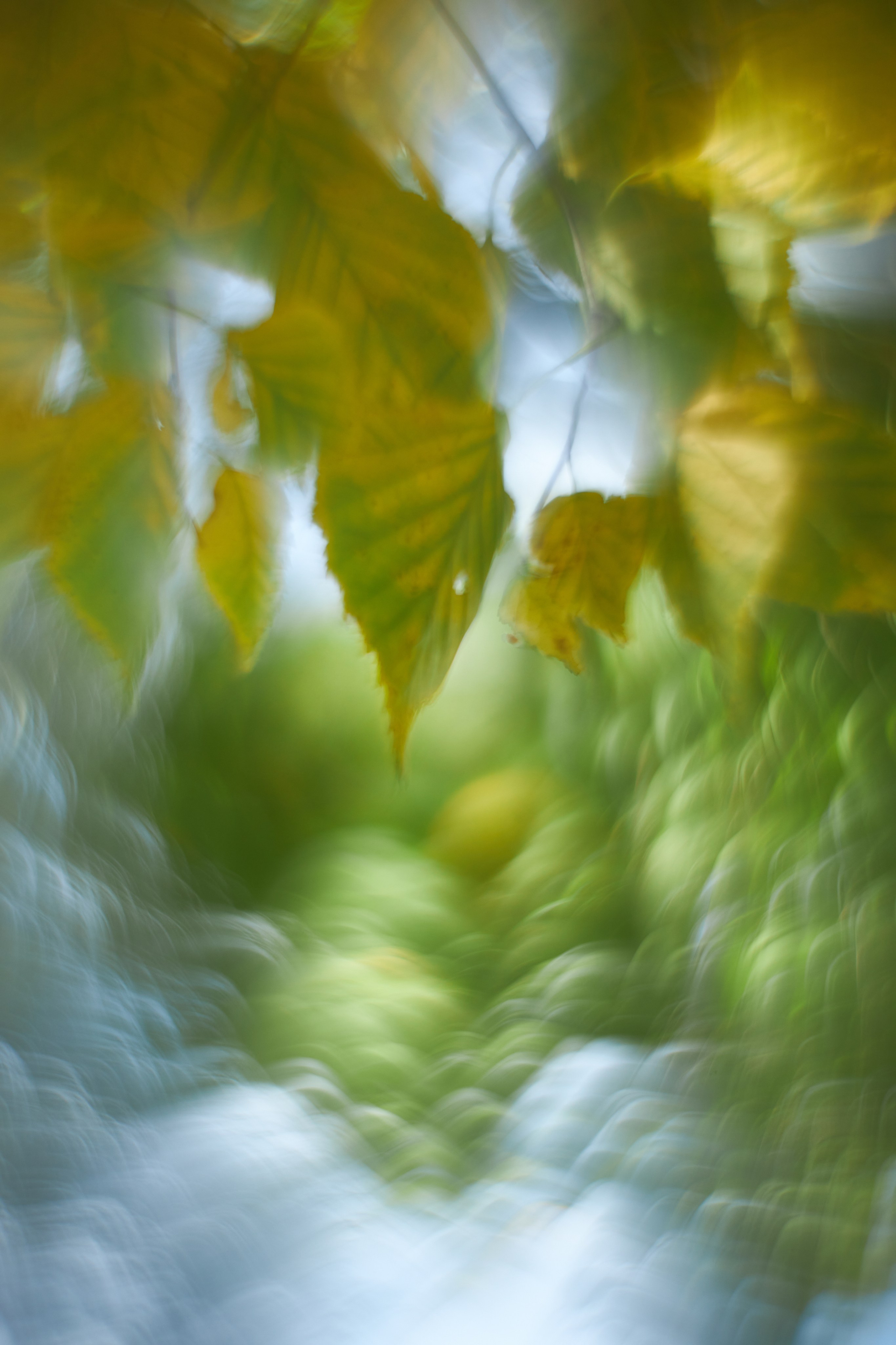 «Незримые Миры». Арт-фотограф во Владивостоке Дмитрий Осипчук