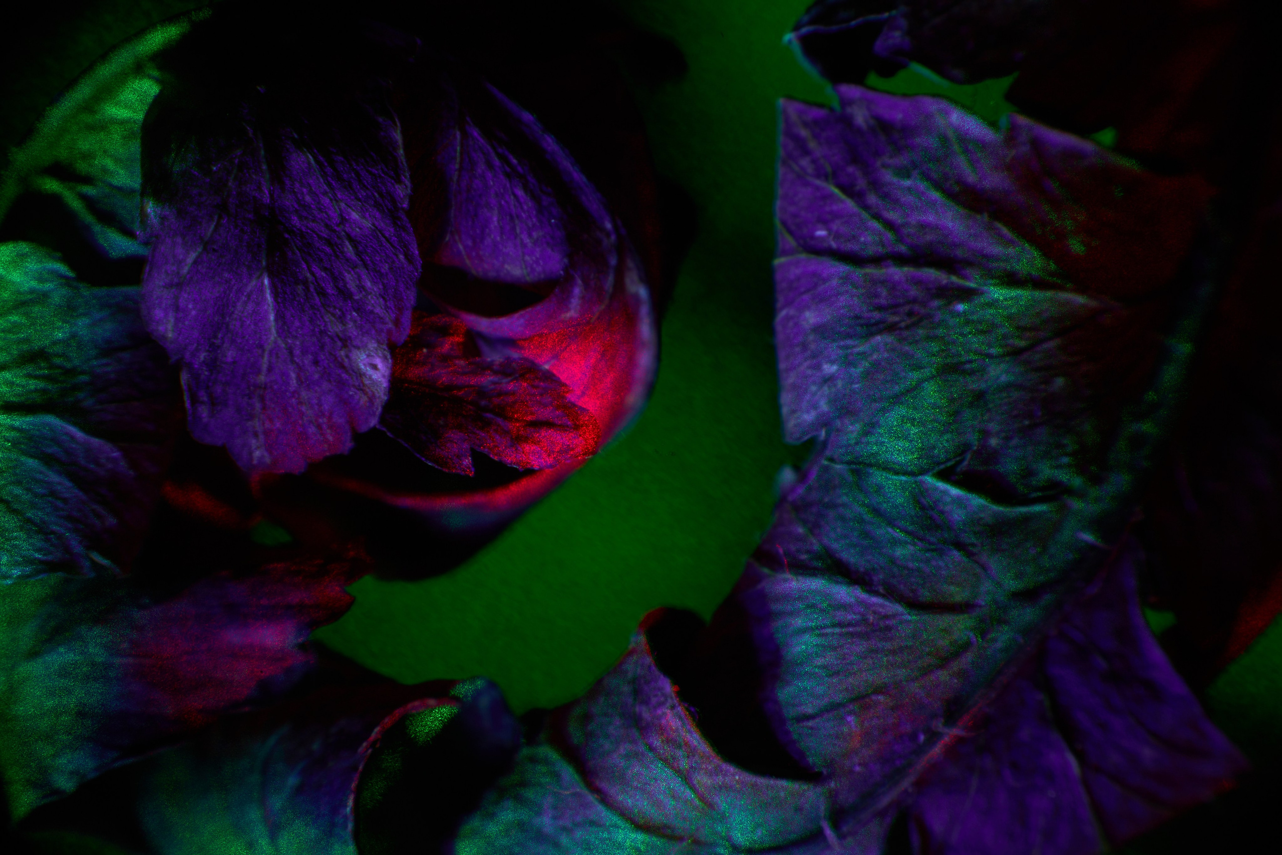 Арт-фотограф во Владивостоке Дмитрий Осипчук