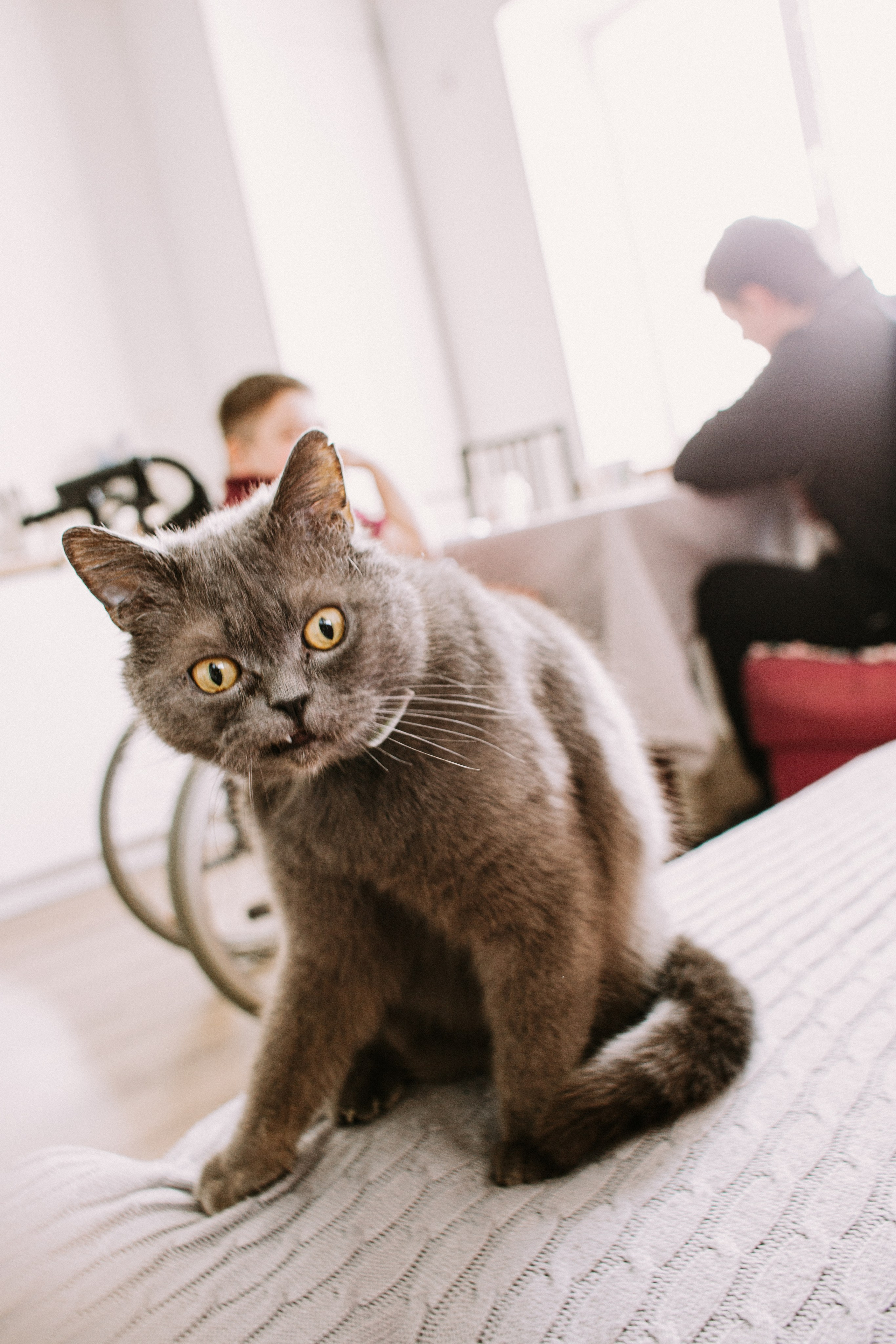 У Паши в гостях. Фотограф в Нижнем Новгороде