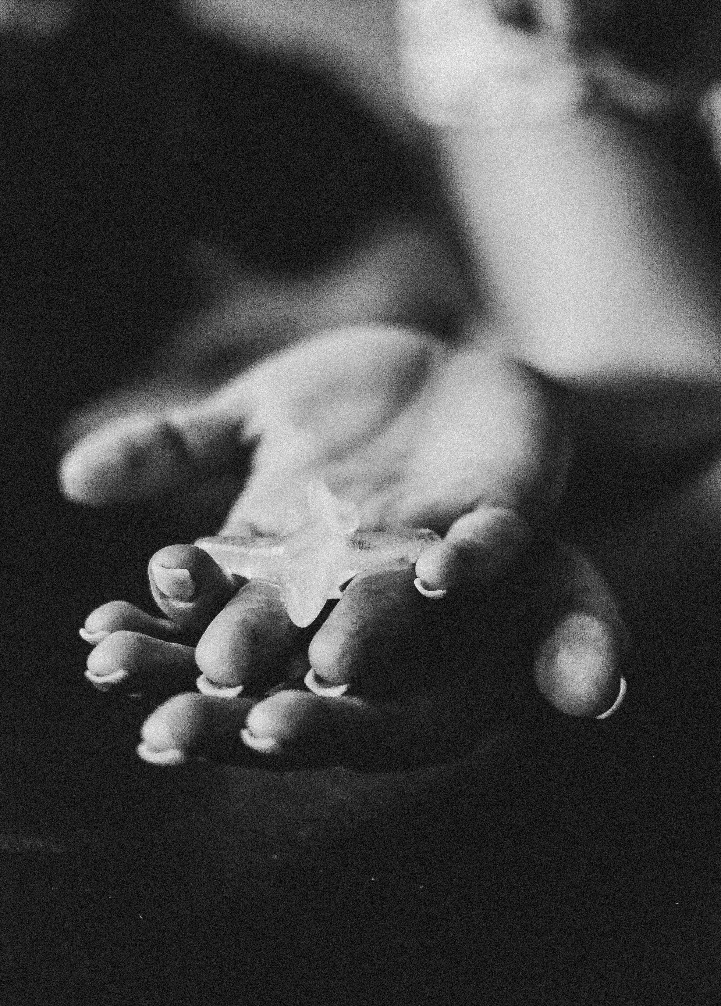 Домашние съемки. Фотограф, визажист. Москва