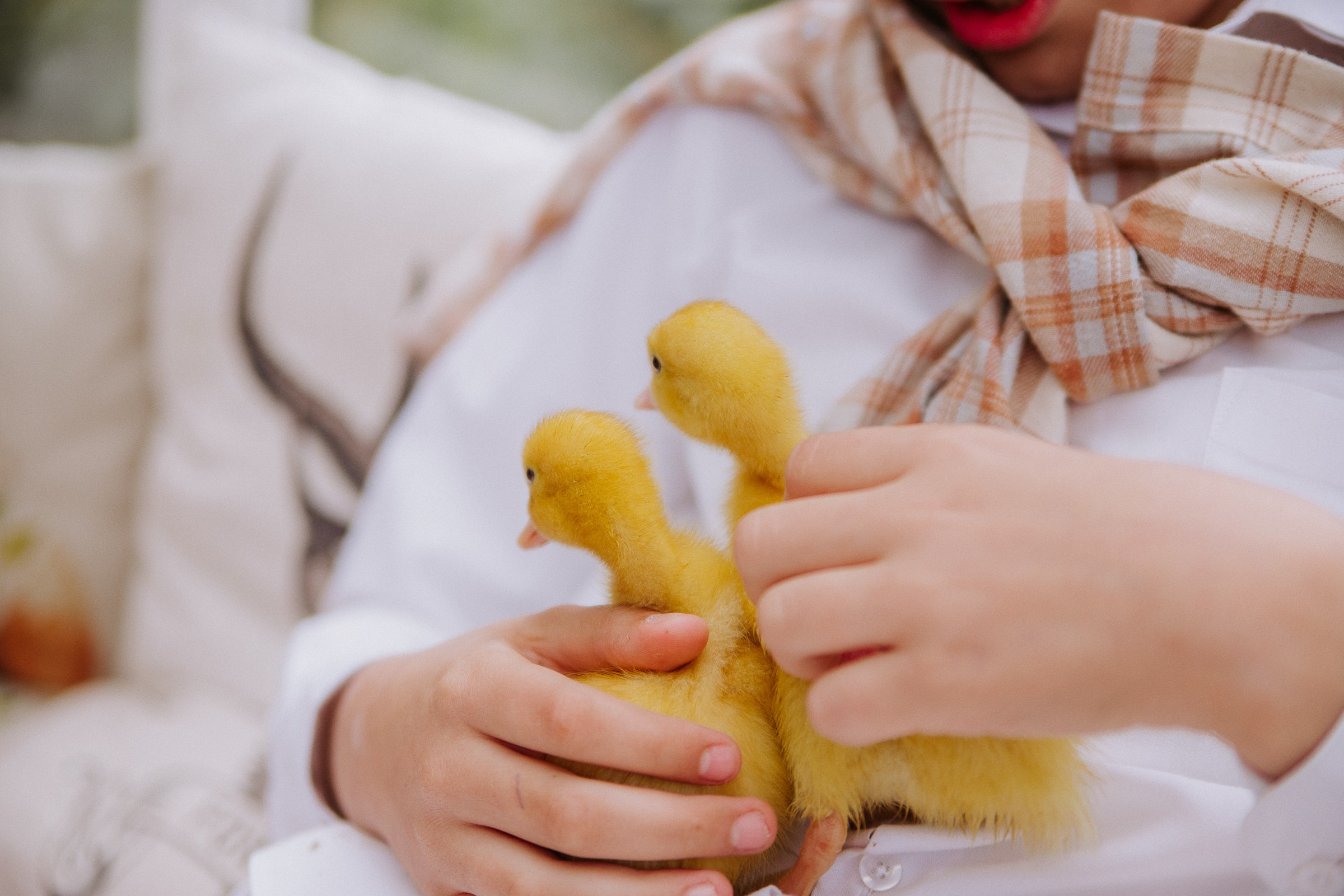 Юлия. Семейный и персональный фотограф в Ростове-на-Дону