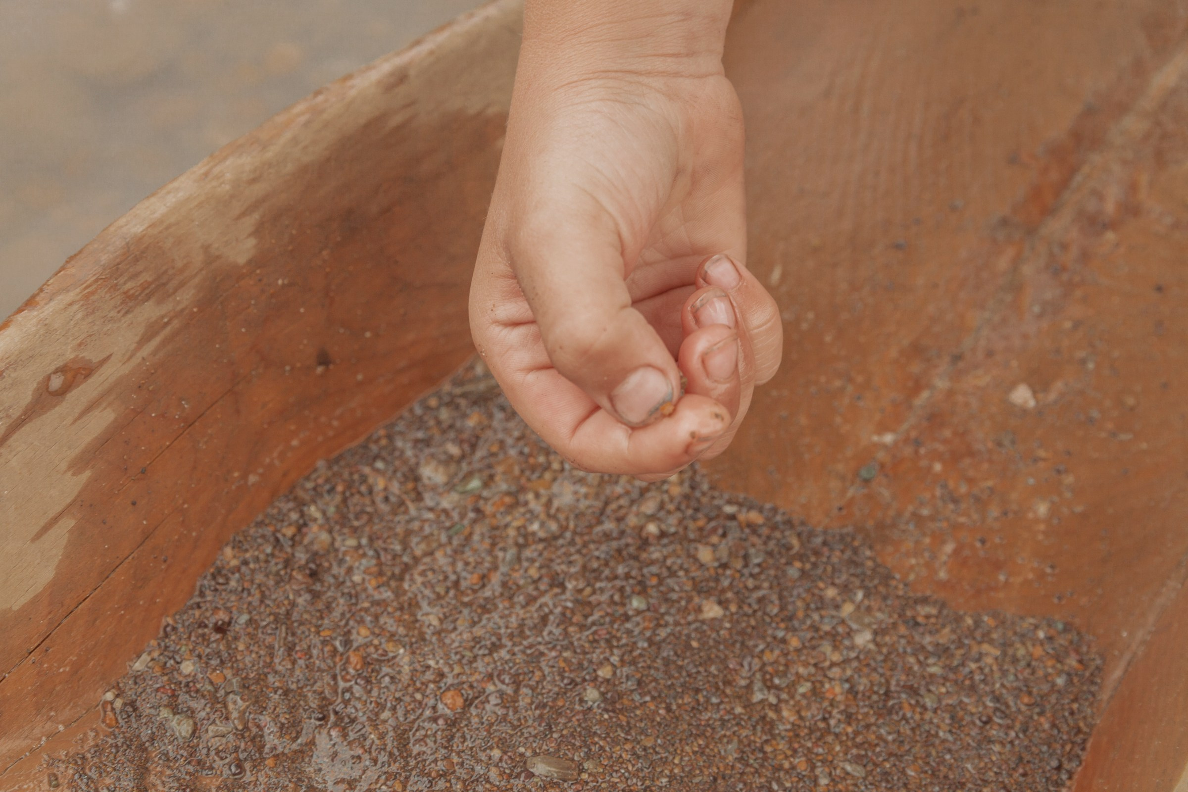 Золотоискатели. Детский и семейный фотограф в Бердске и Новосибирске Дарья Гребнева