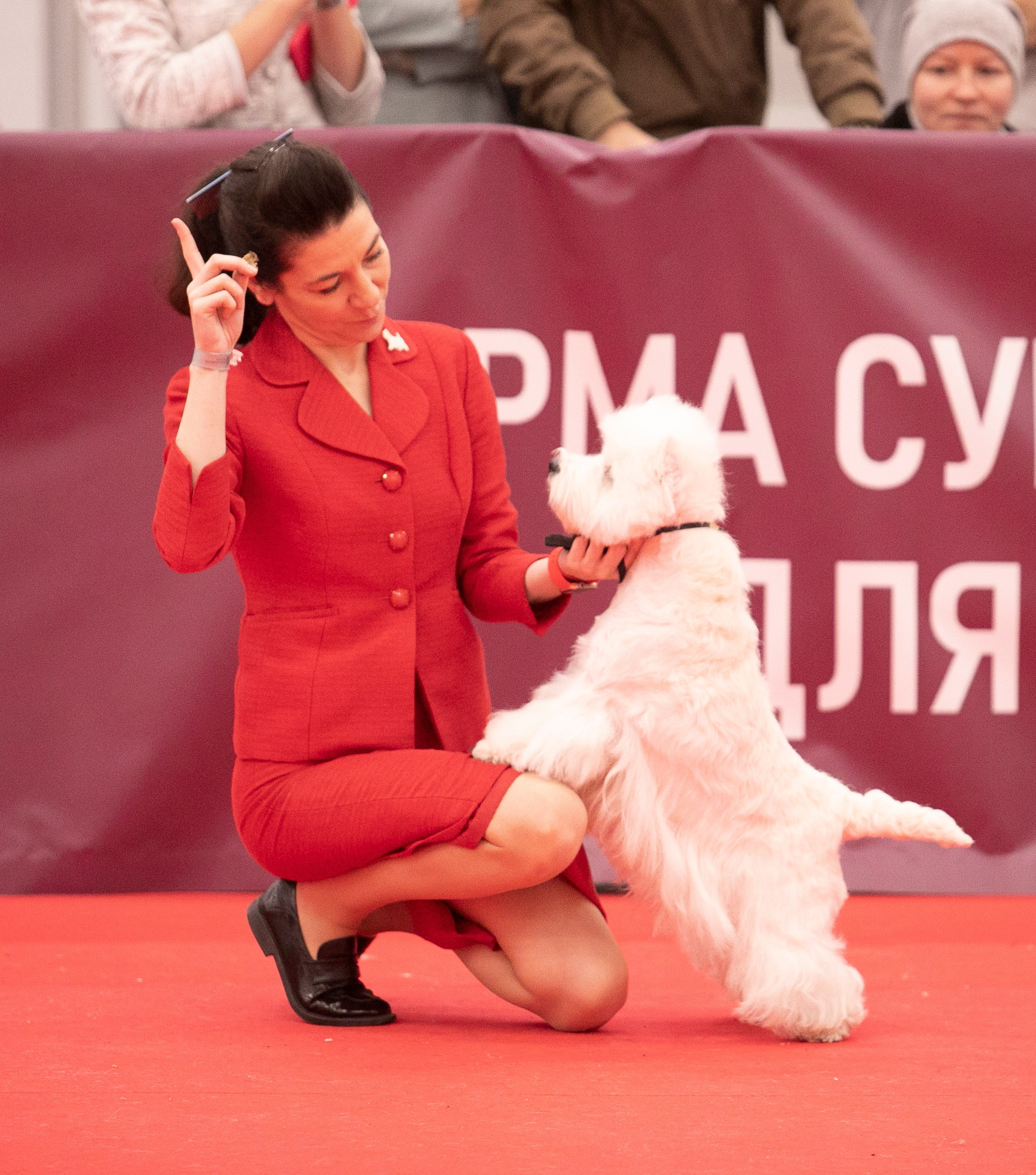 Авторские пресеты для обработки фото. Фотограф — видеограф Алиса Дружинина