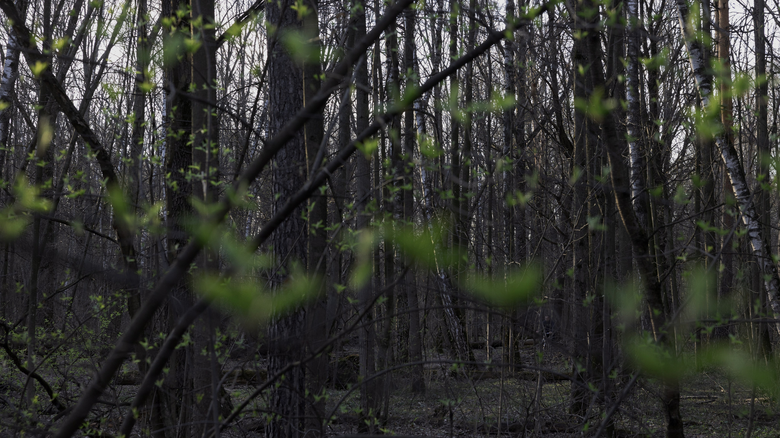 Art prints. Фотограф алина стерхова, алина стерхова фотограф, фотограф москва