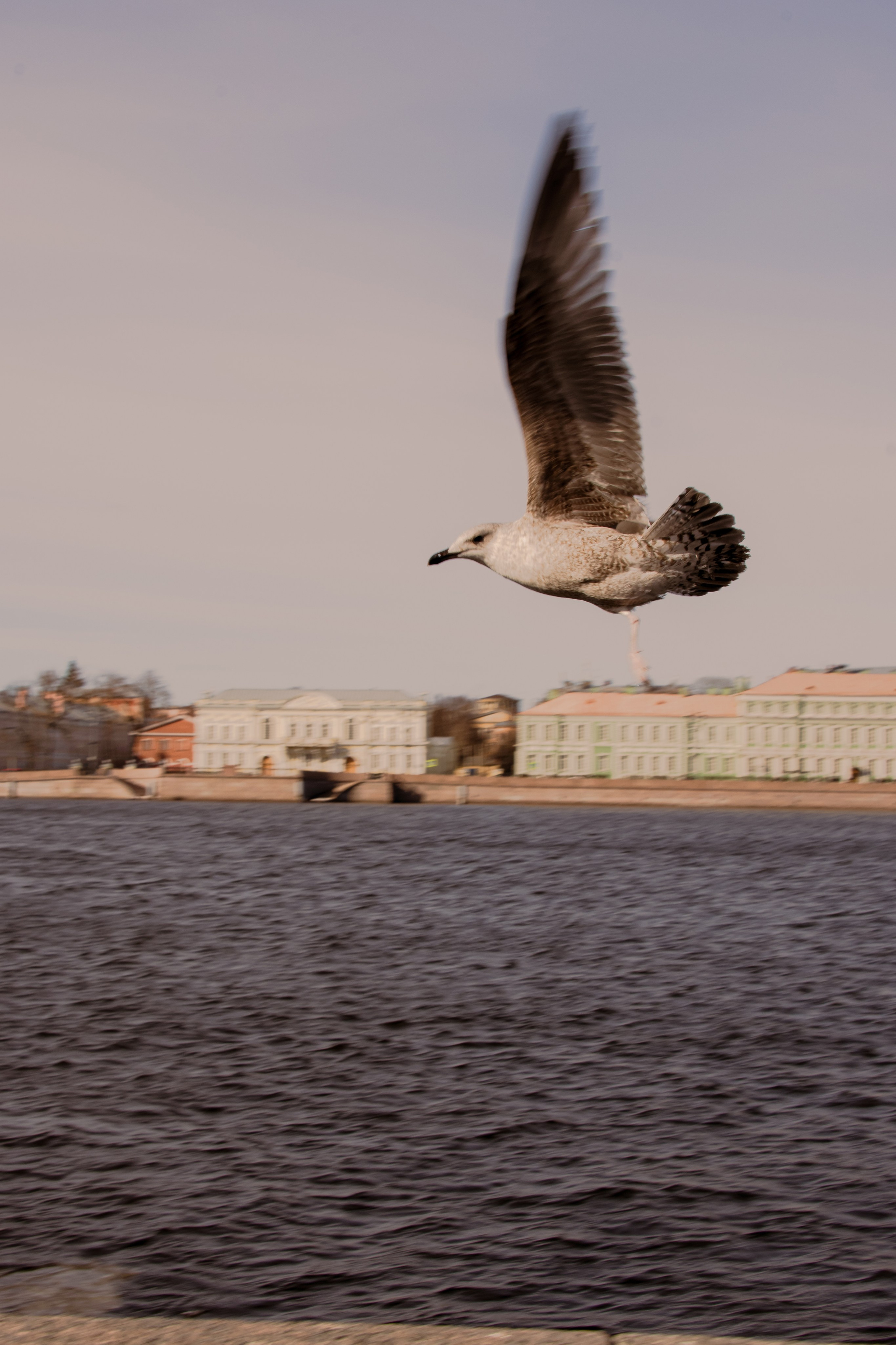 Персональная съемка для Яны. Фотограф в Санкт-Петербурге Ксения Яковчук