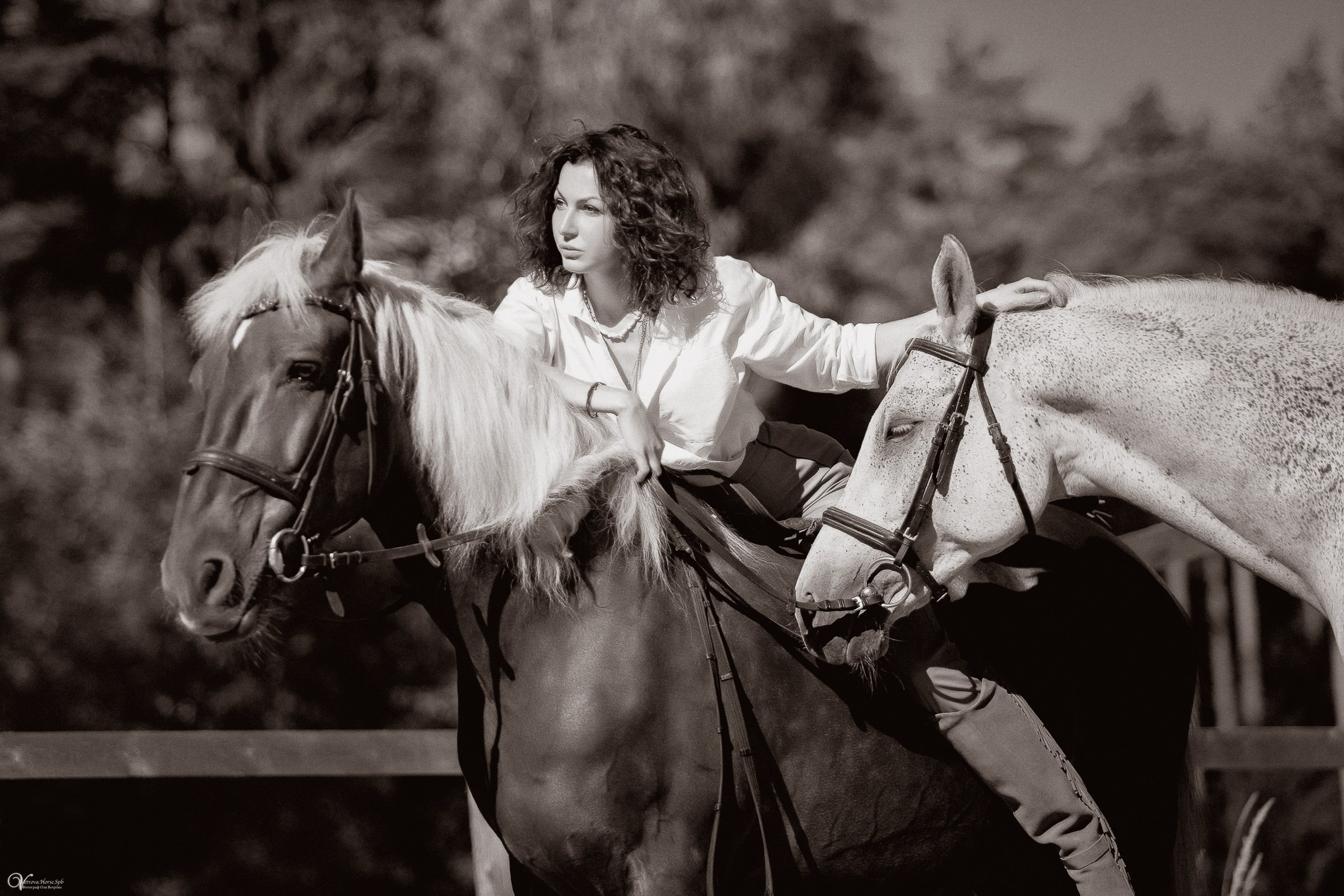 Фотосессия с лошадьми в катри-стиле. Фотограф женский и мужской портрет Санкт-Петербург