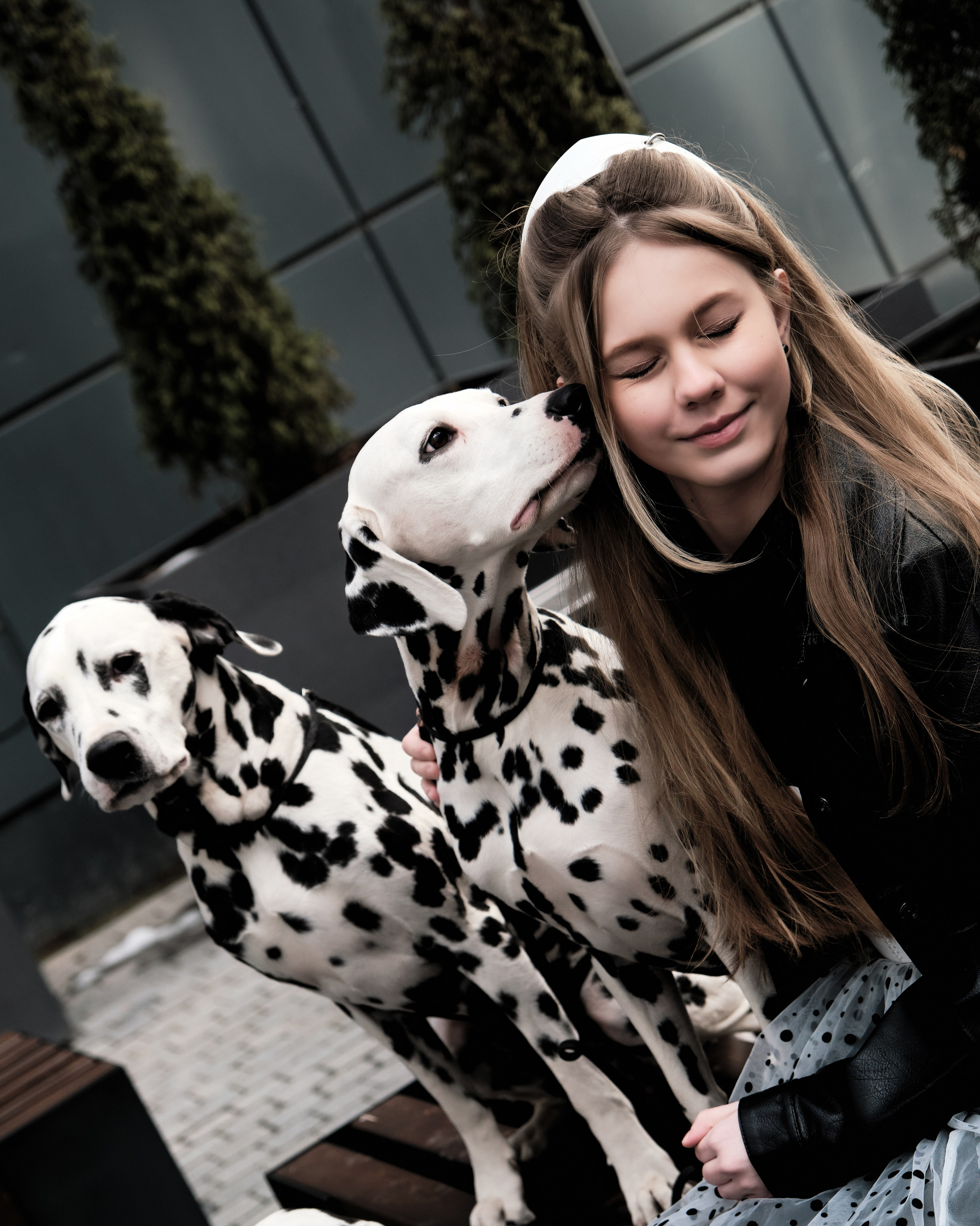 фото собаки в Москве фотограф Виктория Колышева
