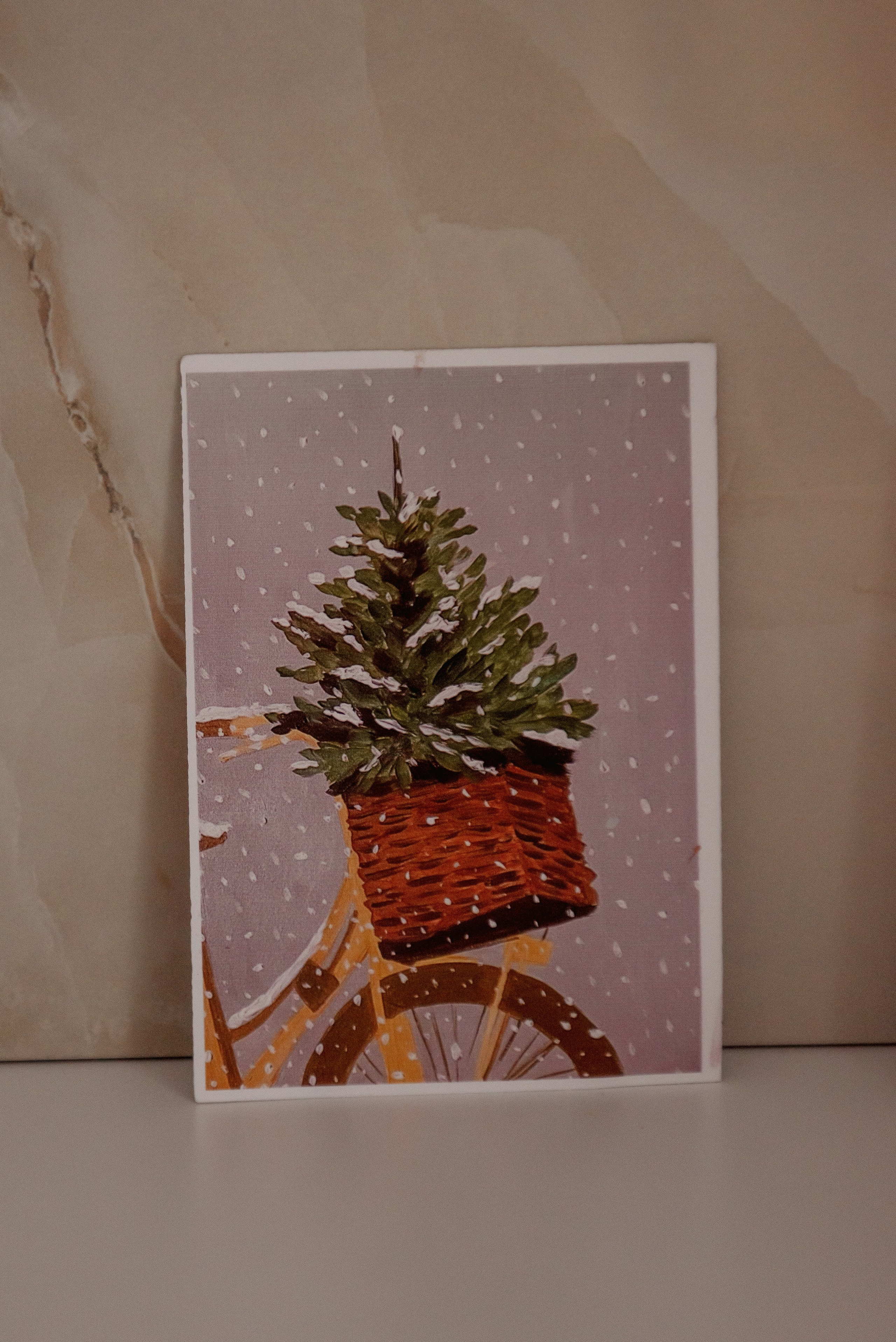 Зимний день. Семейный фотограф в Новочеркасске Виктория Громова