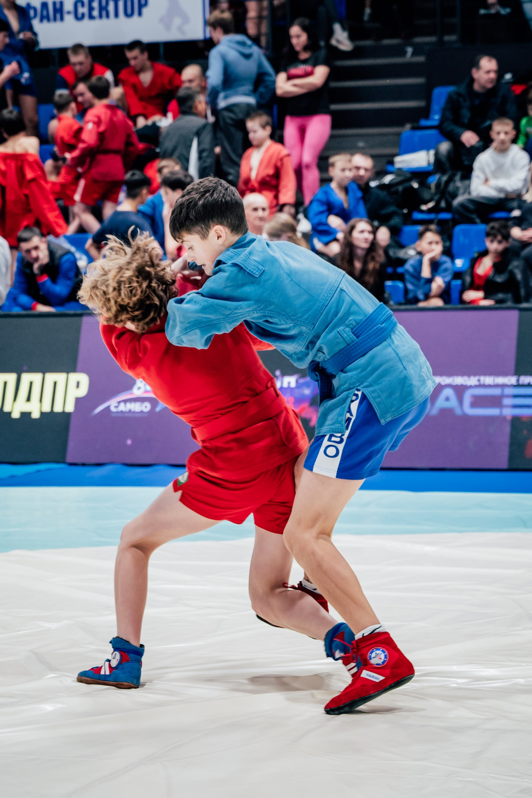 Турнир по самбо ЮФО