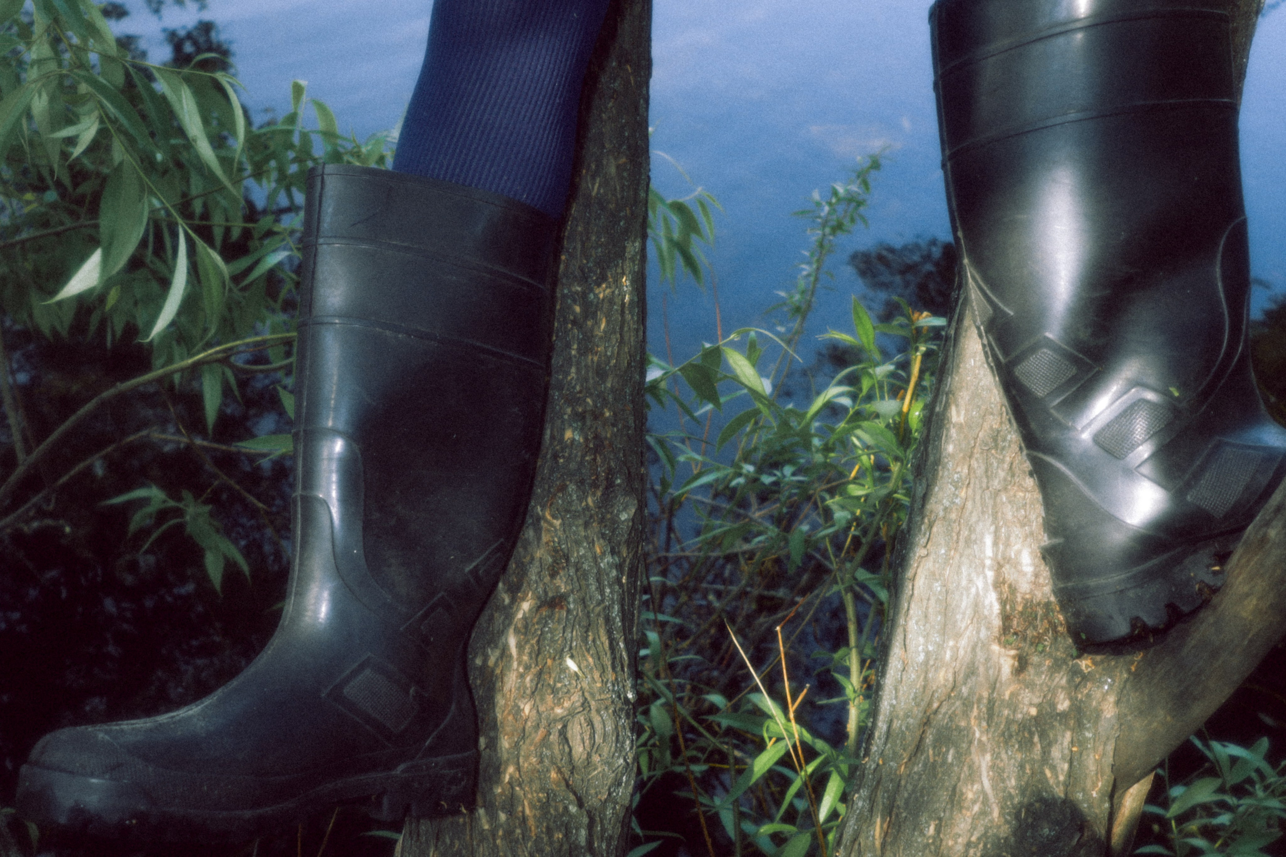 Redcow. Фотограф Мурманск | Нижний Новгород • Анна Хижняк