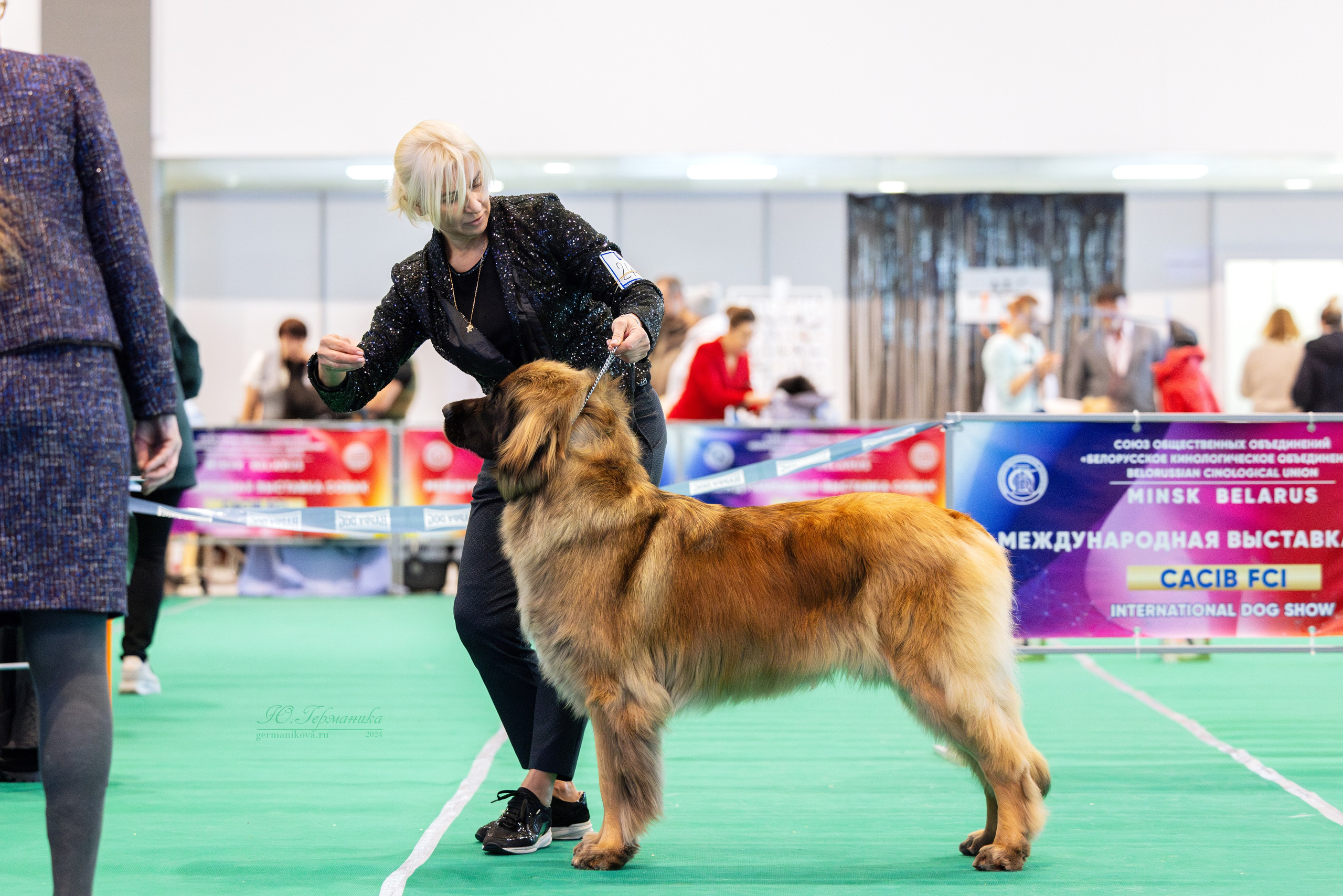 Минск 23.11.2024. Фотограф-анималист Юлия Германика