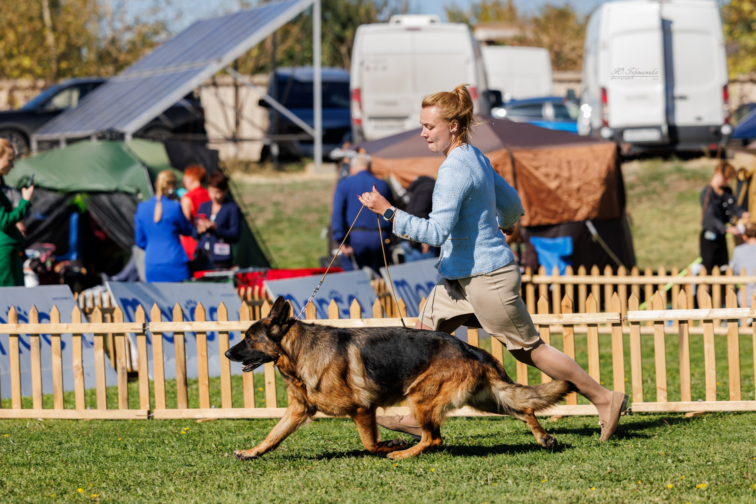 Ереван 14-16.10.2025. Фотограф-анималист Юлия Германика