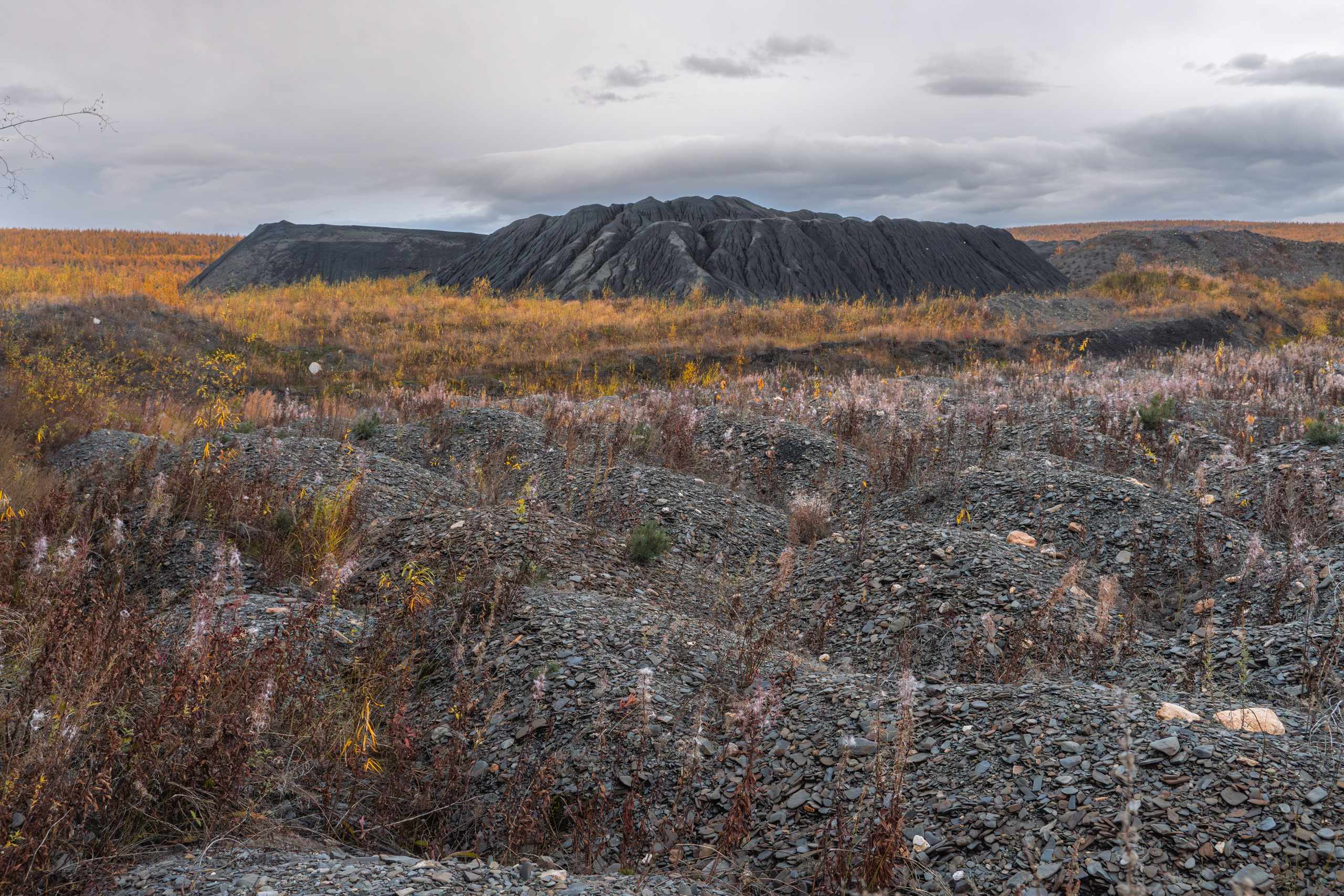 Планета Колыма. Элина Гусарова