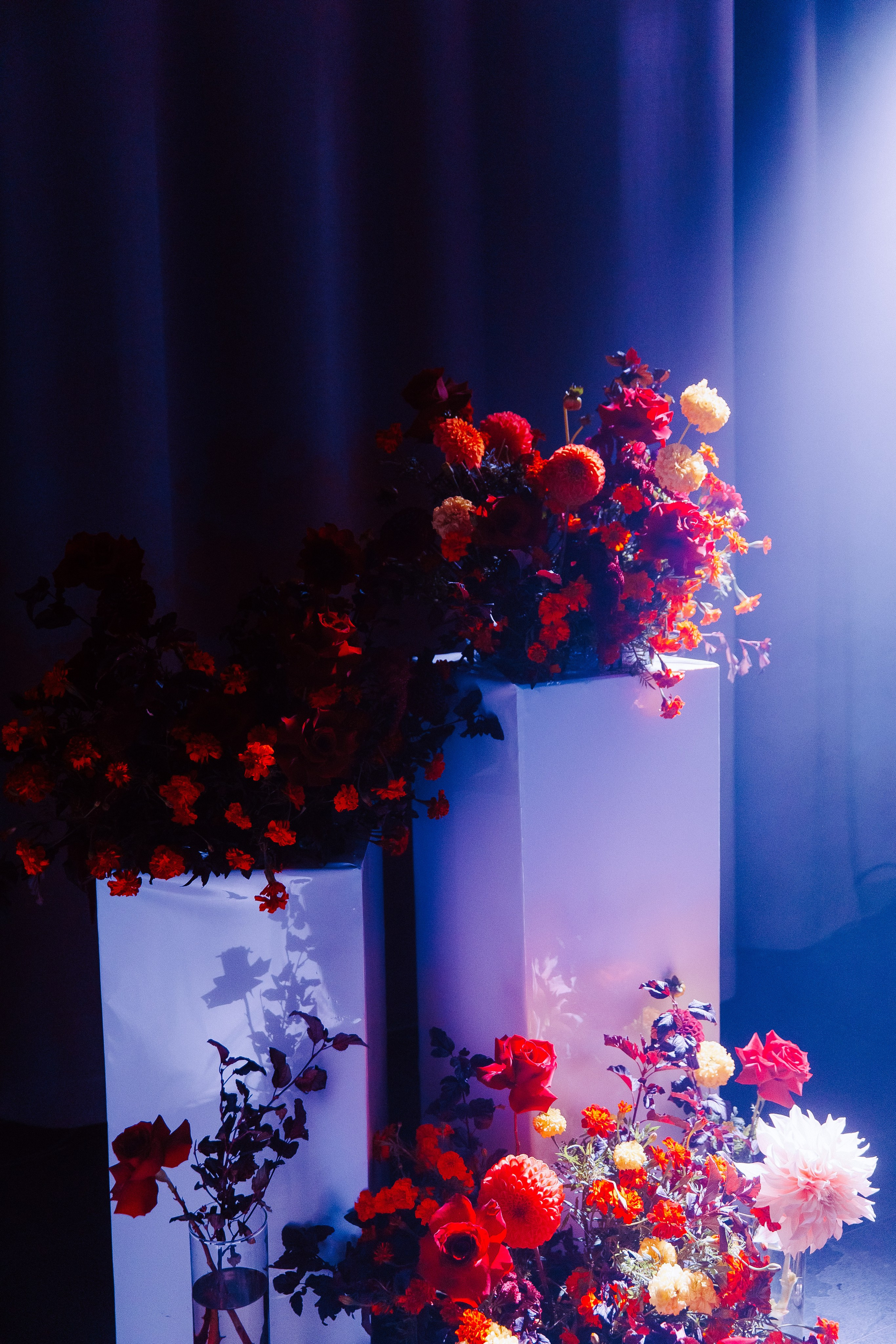 Антонина & Ярослав