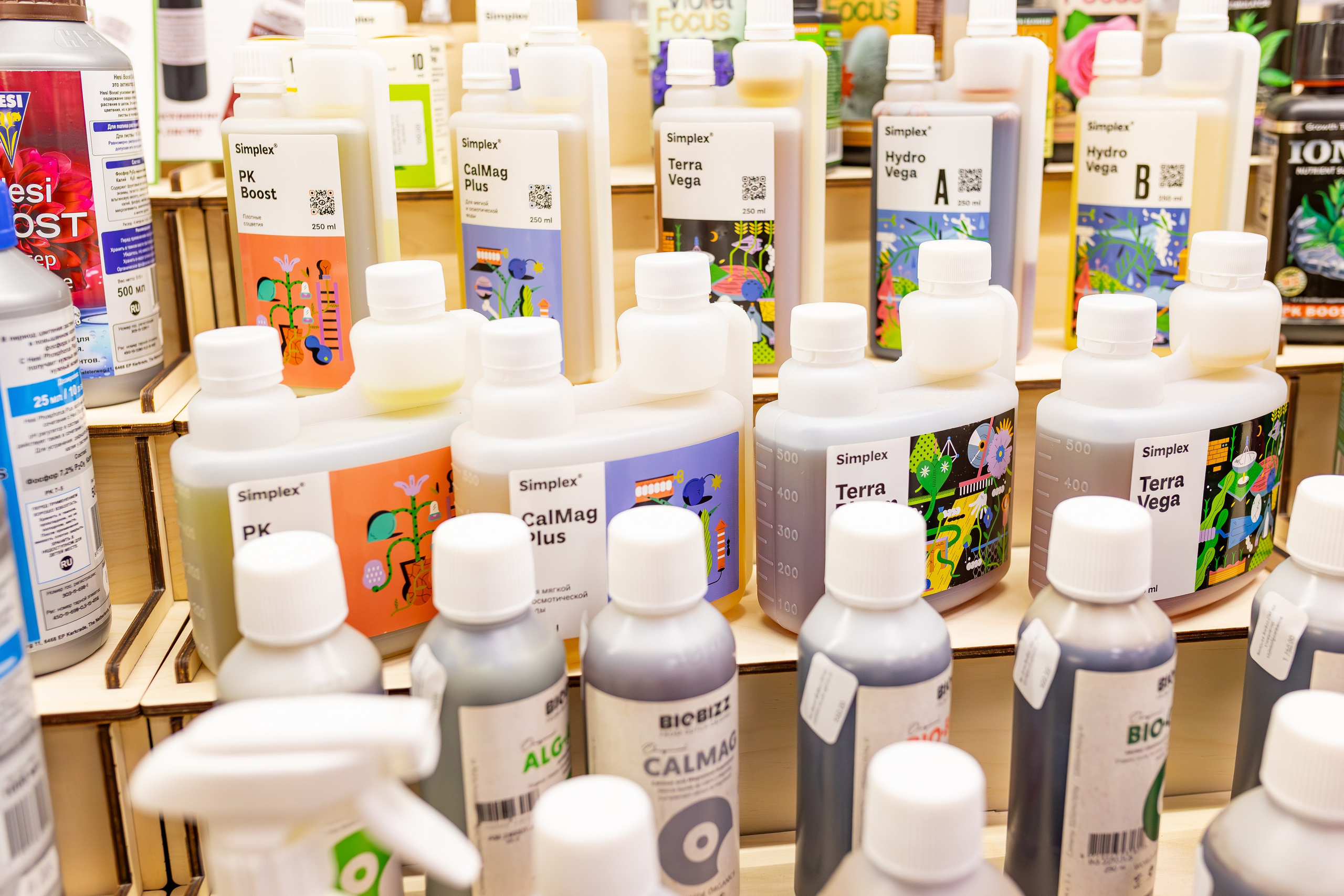 Орхидиум сентябрь 2025. Александра Куликова фотограф, Москва