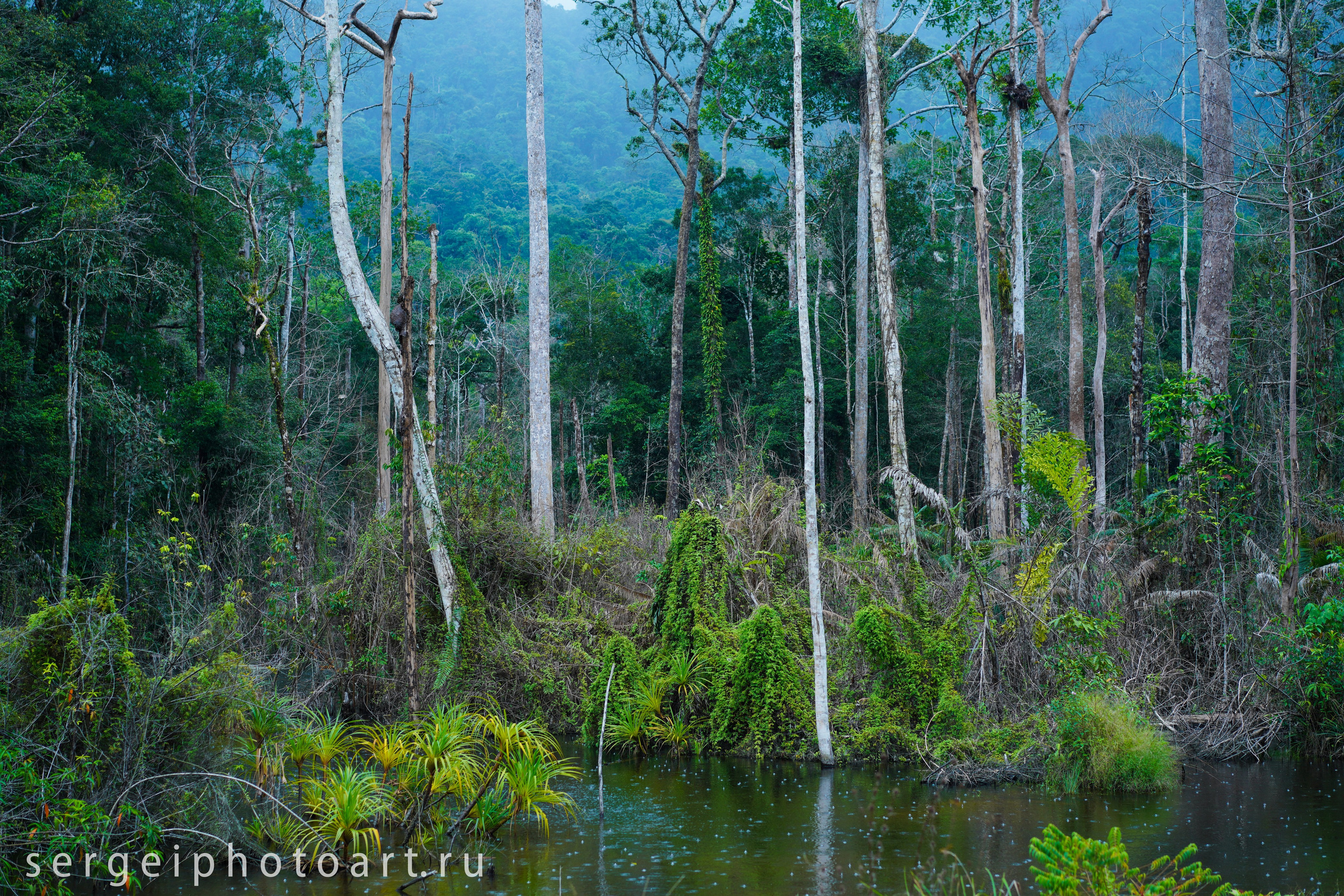 Остров Фукуок, Вьетнам. Фотограф Сергей Кишкель Дананг Нячанг Фукуок