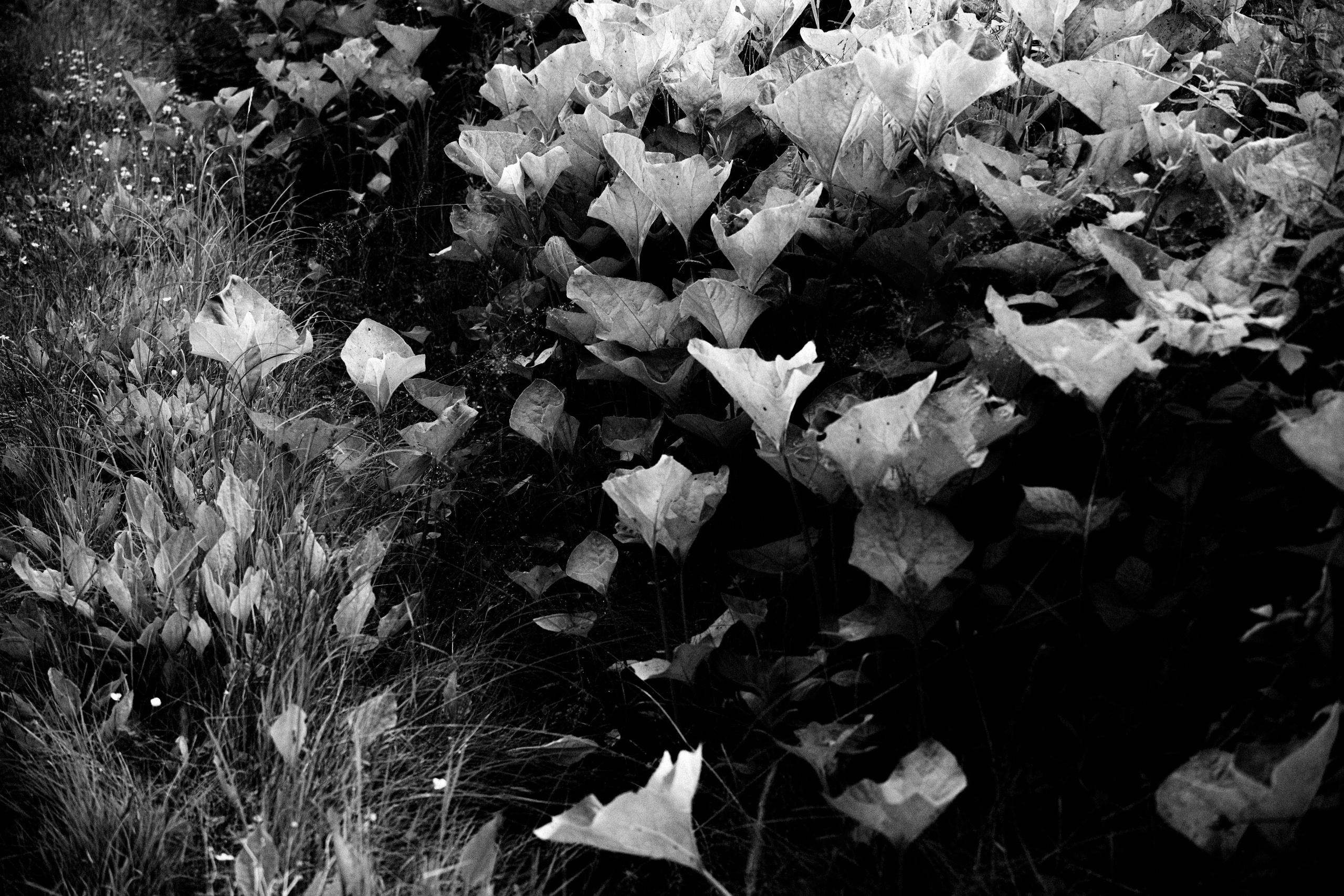 Фотографии Лены Соколовой