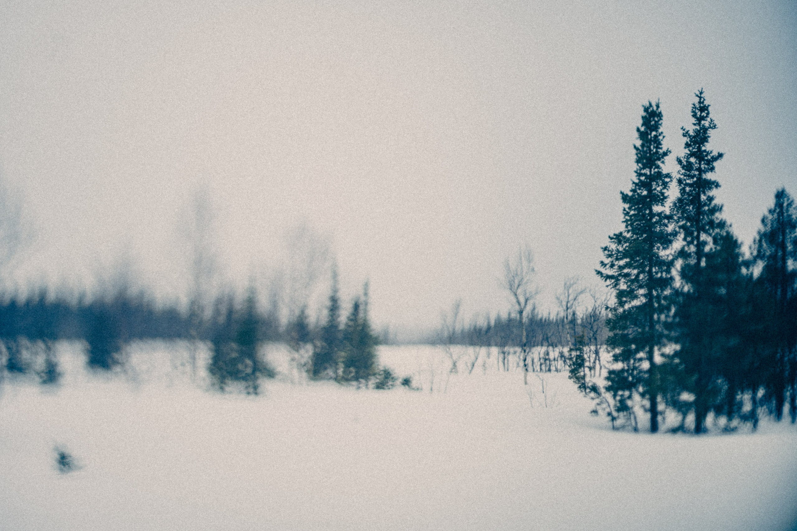 Священное озеро. Фотограф * Вячеслав Скоробогатов * Визульный Артист