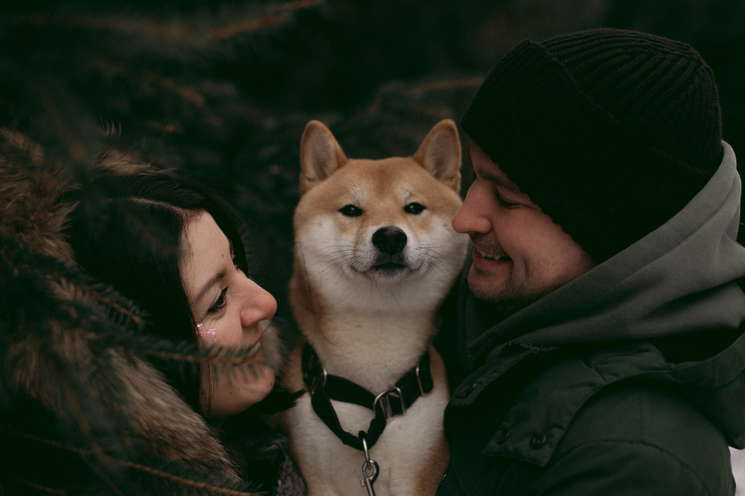 Katya, Dima, Rokki. Portrait, family and pet photographer in Cyprus, Ksenia Bourdelle