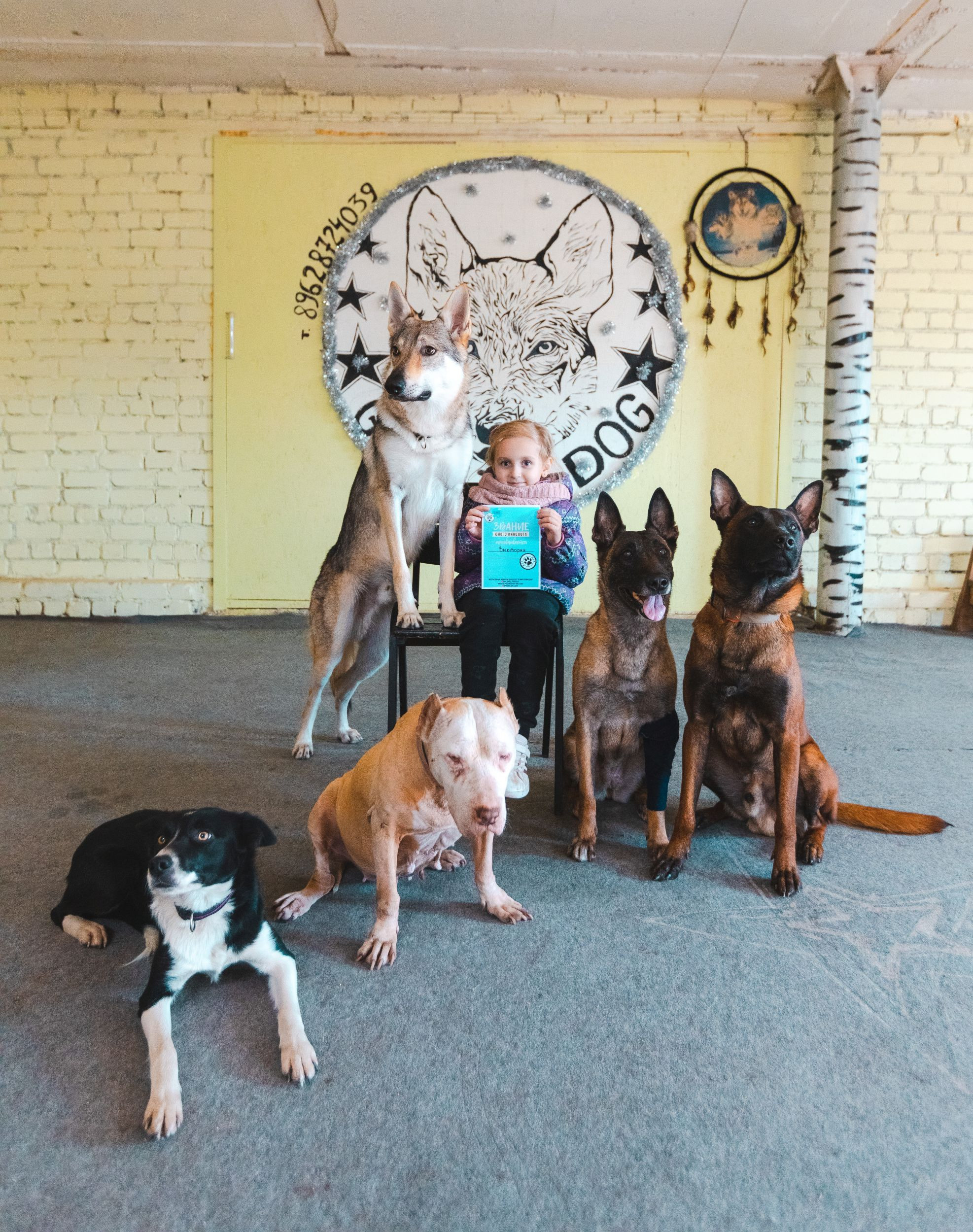 Детская экскурсия в кинологическом центре. Фотограф Марина Верятинская | Краснодар